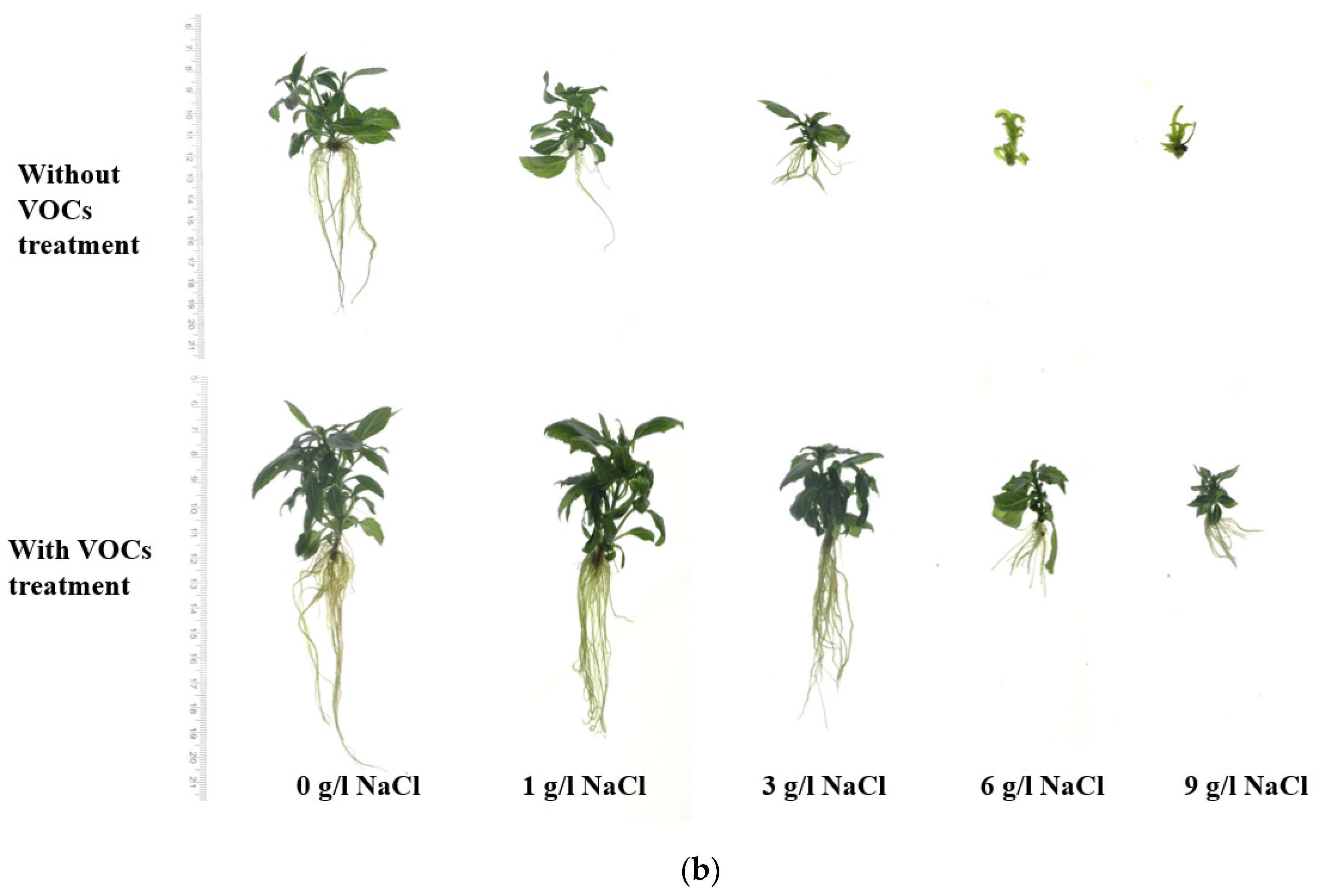 Applsci 13 01776 g003b