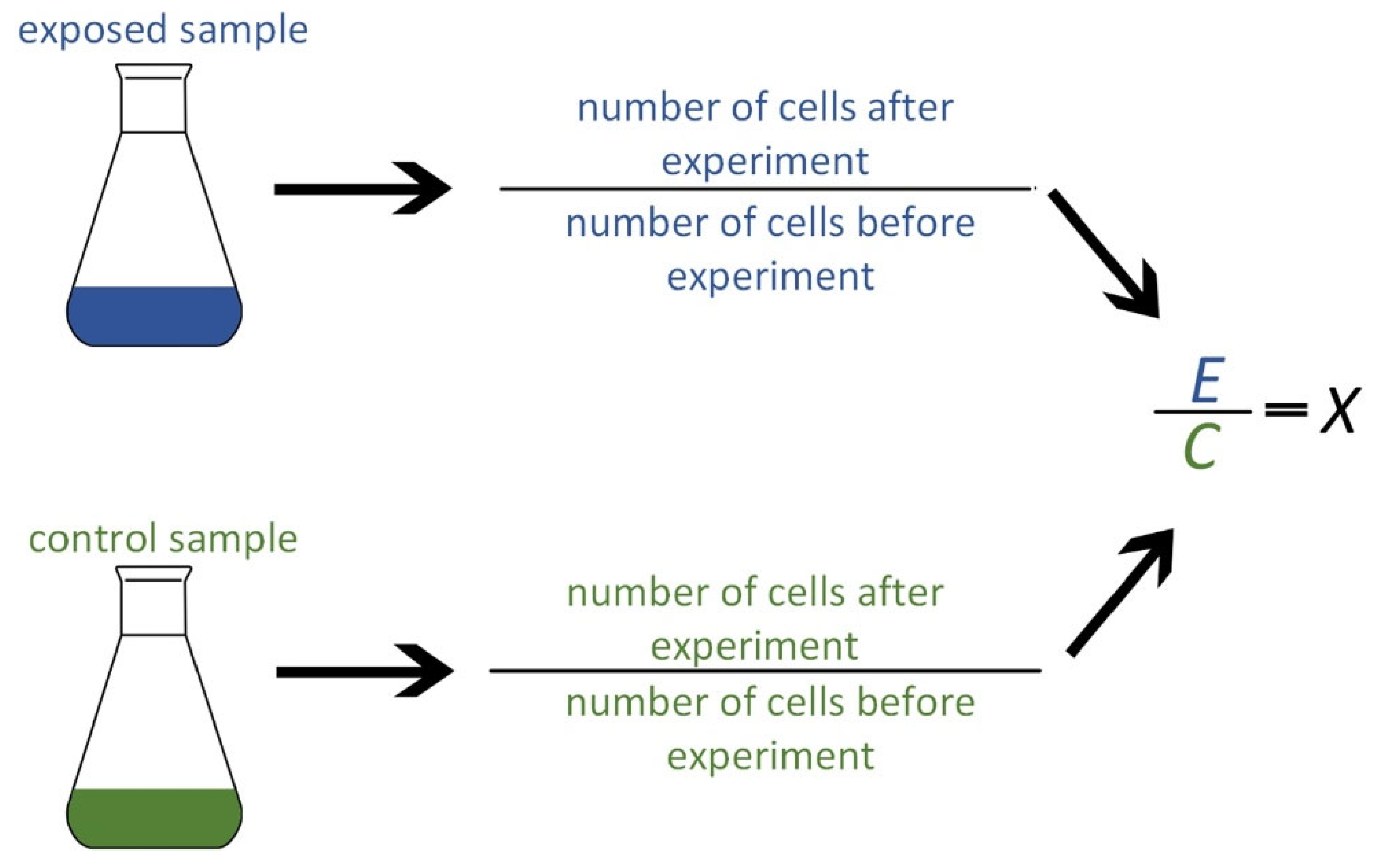 Applsci 13 01777 g003
