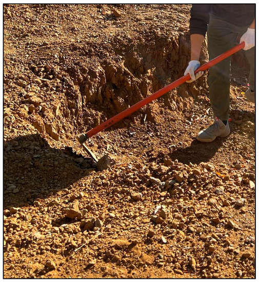 Applsci 13 01825 g001 550