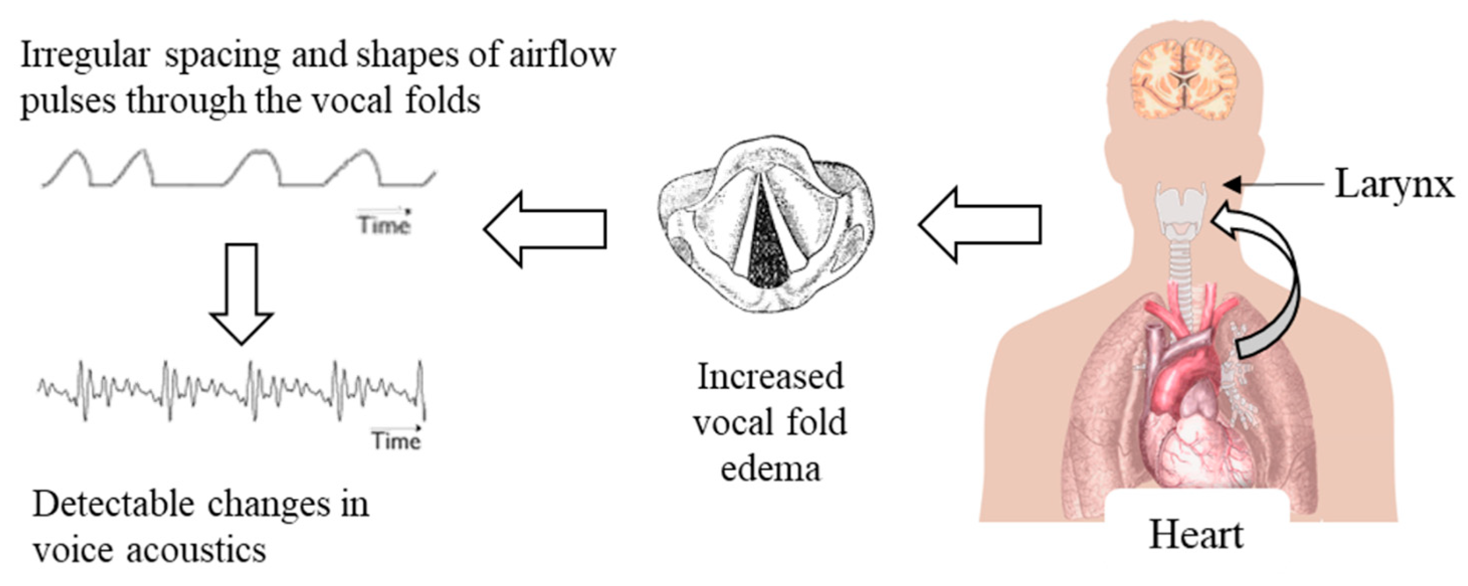 Applsci 13 01827 g001