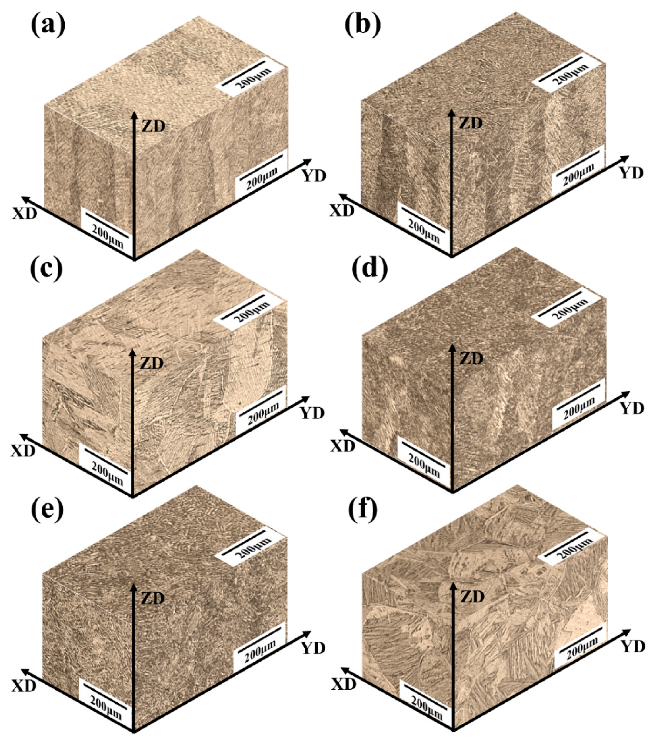 Applsci 13 01828 g004