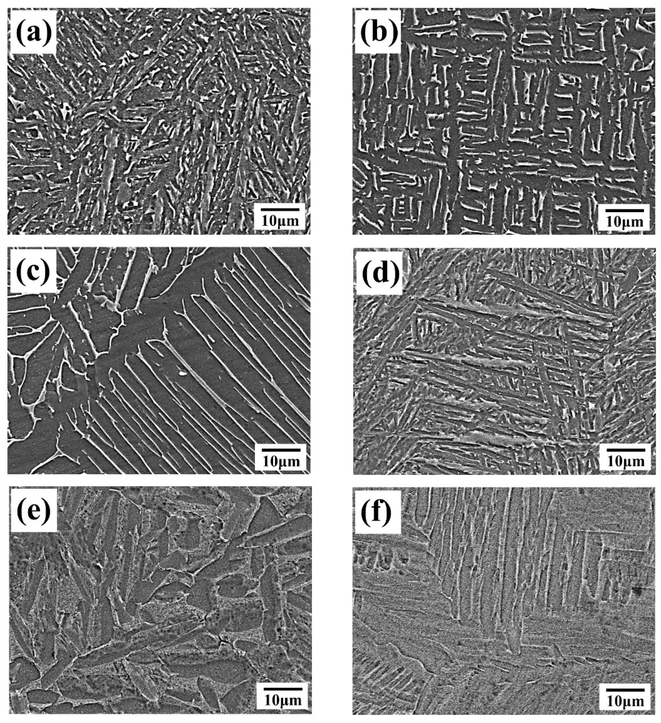 Applsci 13 01828 g005
