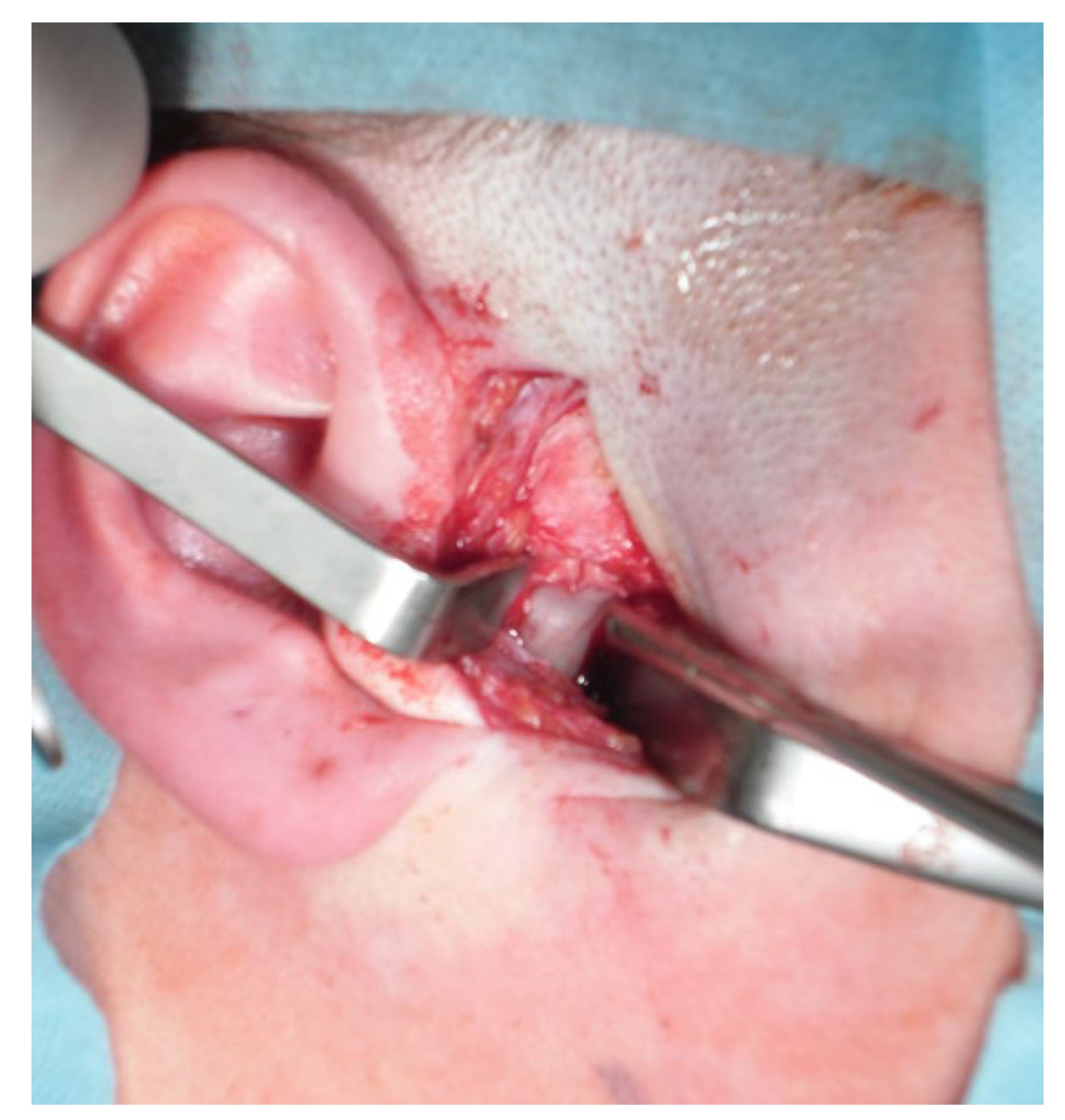 Applsci 13 01839 g008