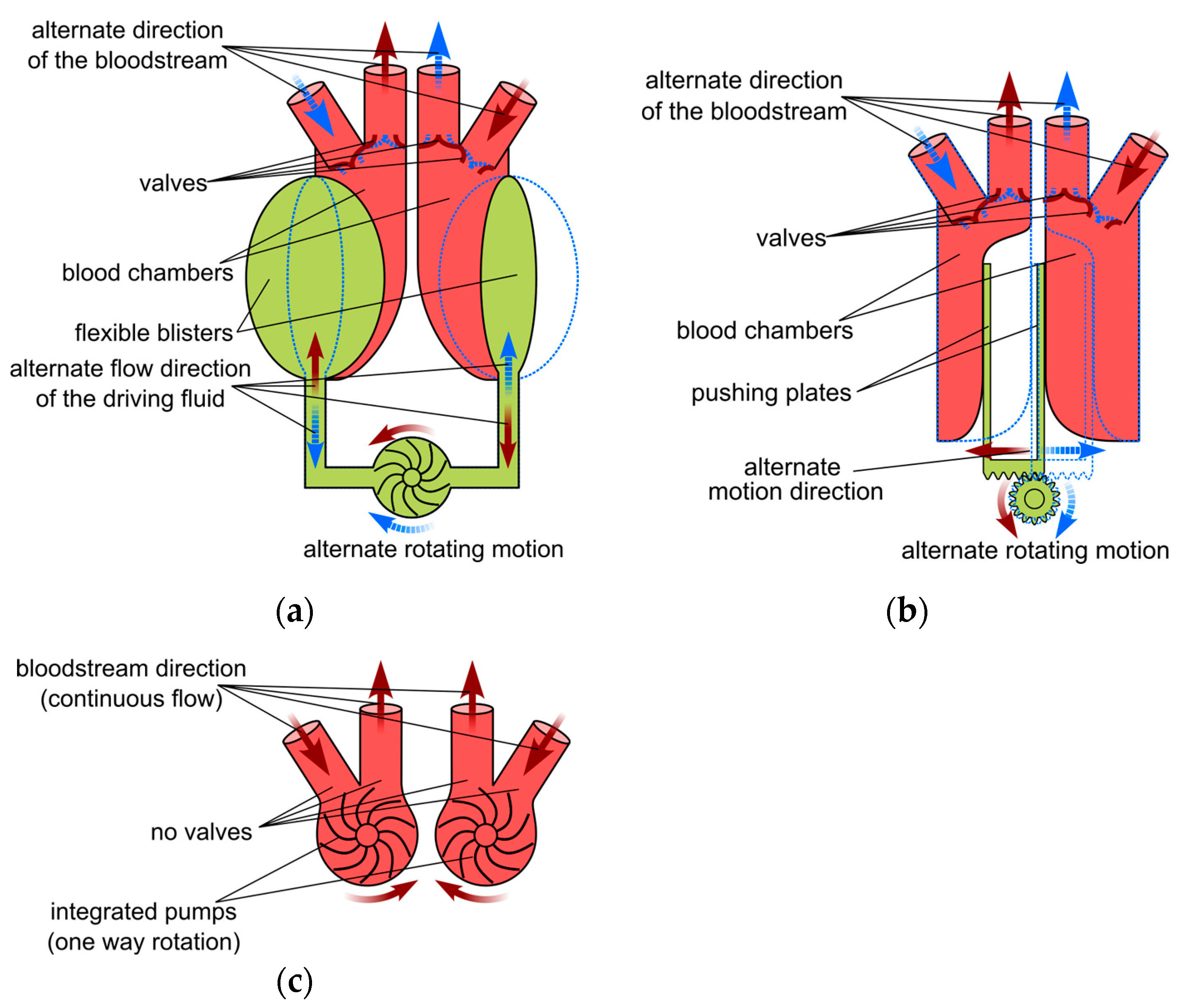 Applsci 13 01870 g001