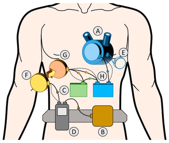 Applsci 13 01870 g002