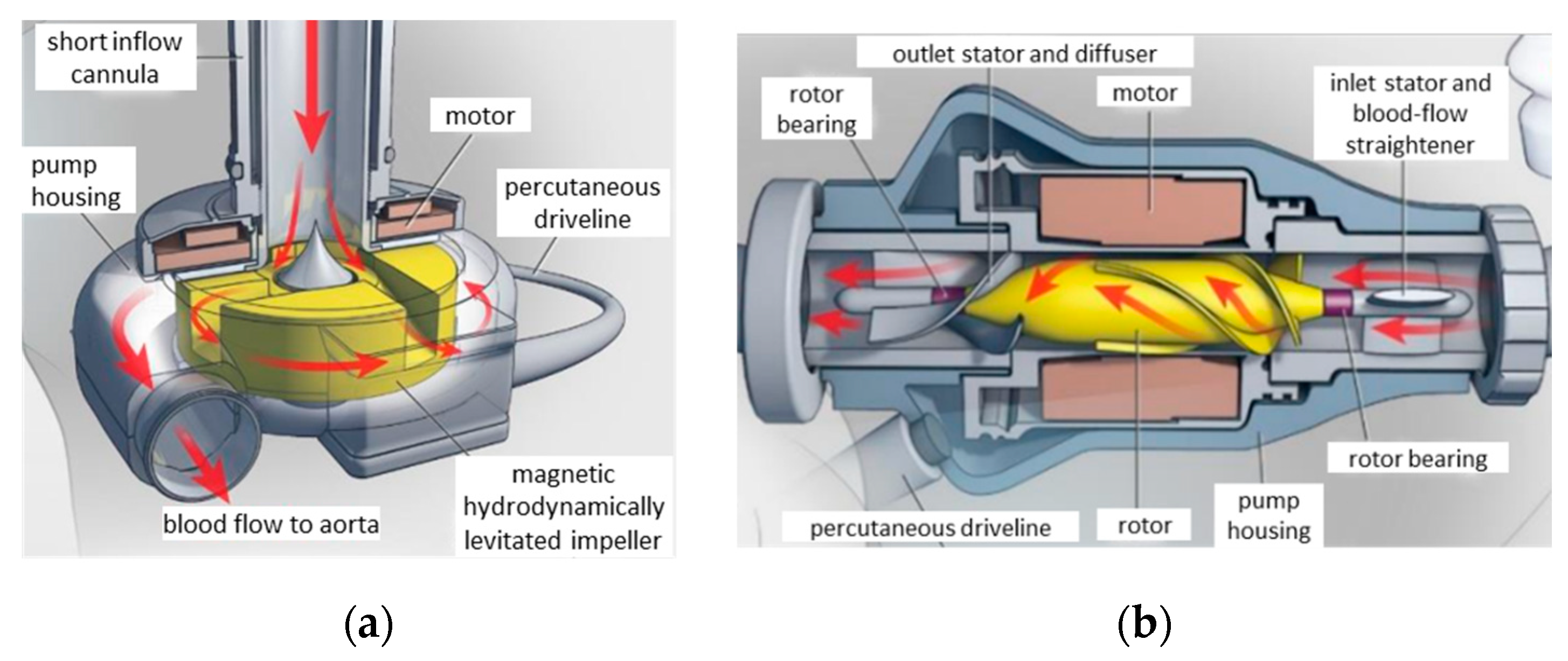 Applsci 13 01870 g003