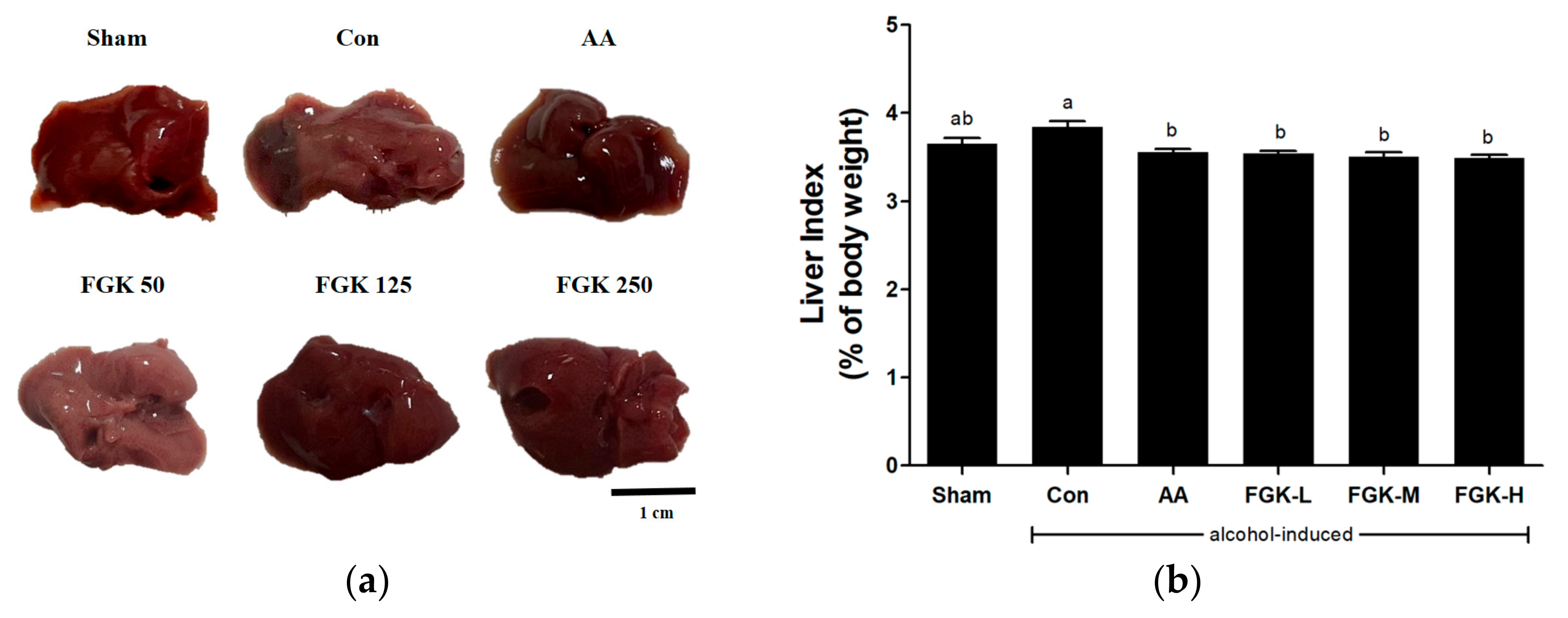 Applsci 13 01877 g001