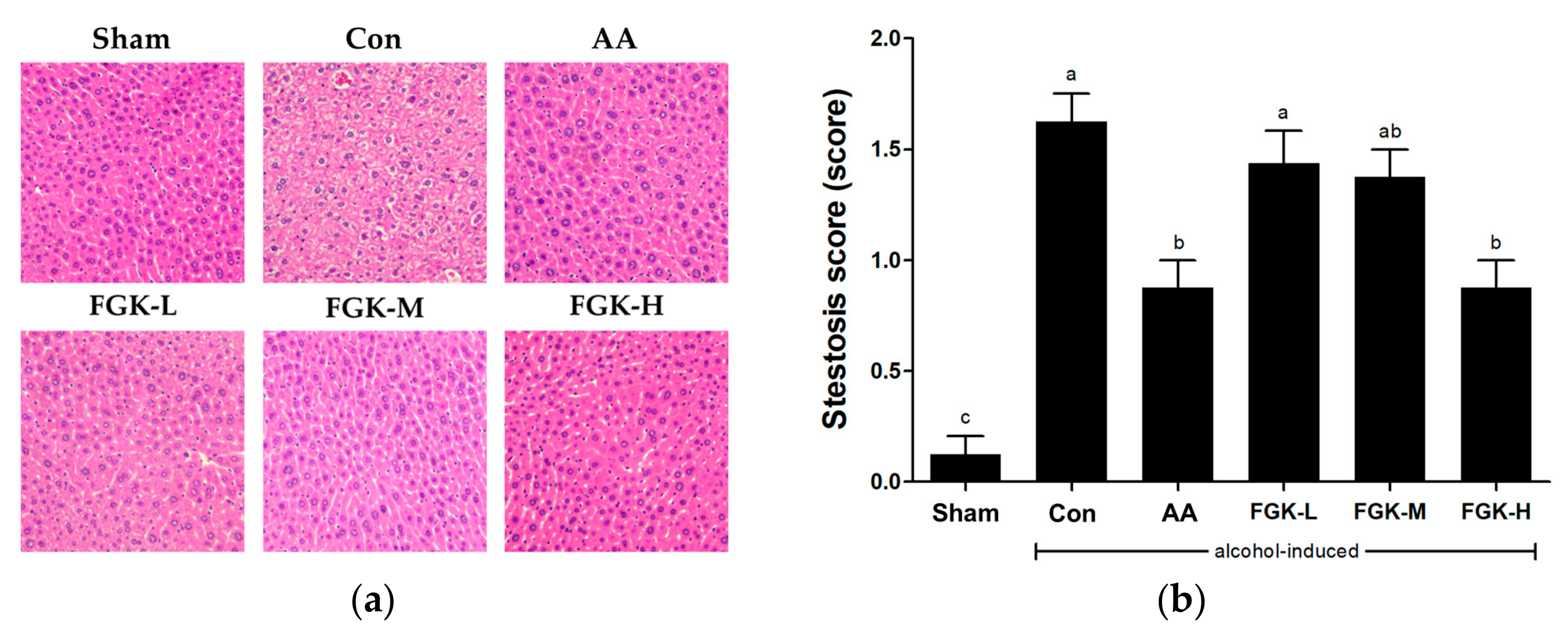 Applsci 13 01877 g002