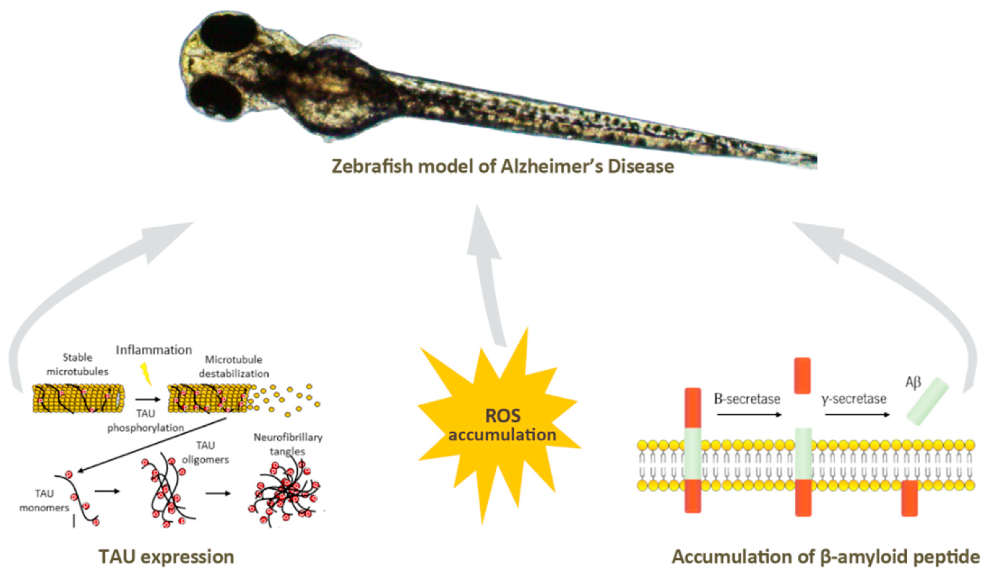 Applsci 13 01883 g005