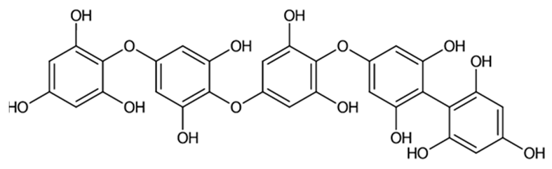 Applsci 13 01883 i004