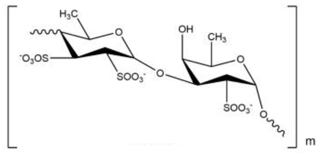 Applsci 13 01883 i013