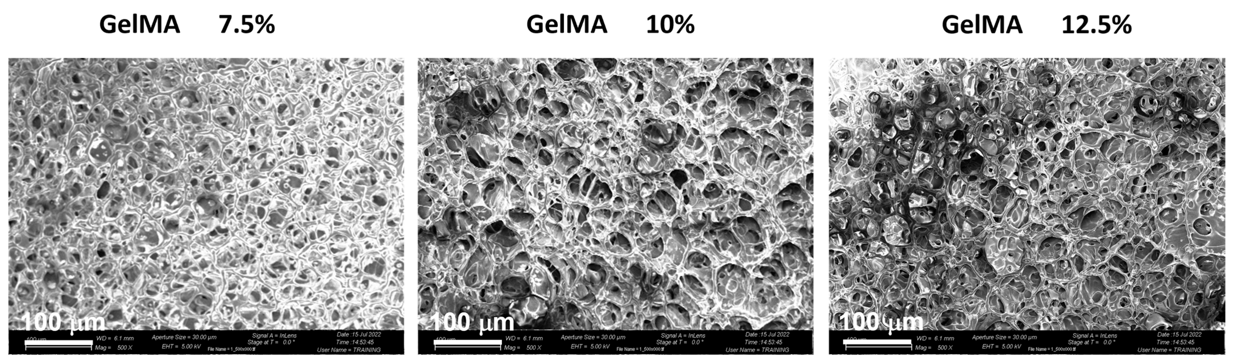 Applsci 13 01889 g002 Applsci 13 01889 g002