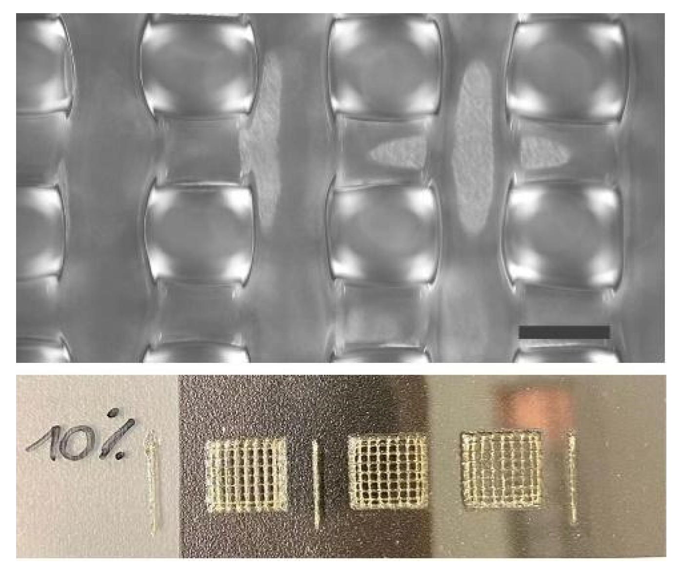 Applsci 13 01889 g004 Applsci 13 01889 g004