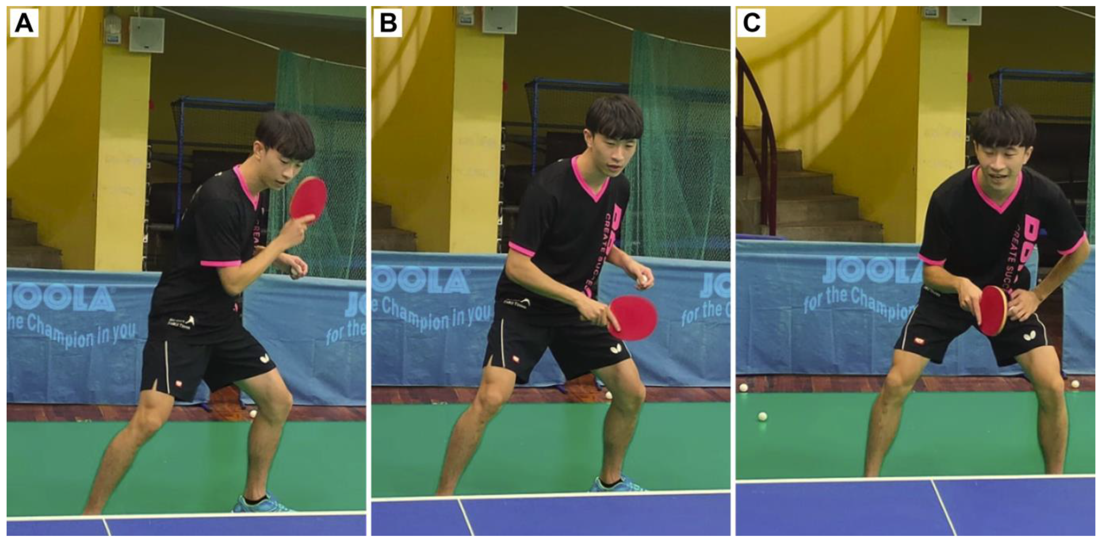 Applsci 13 01896 g017