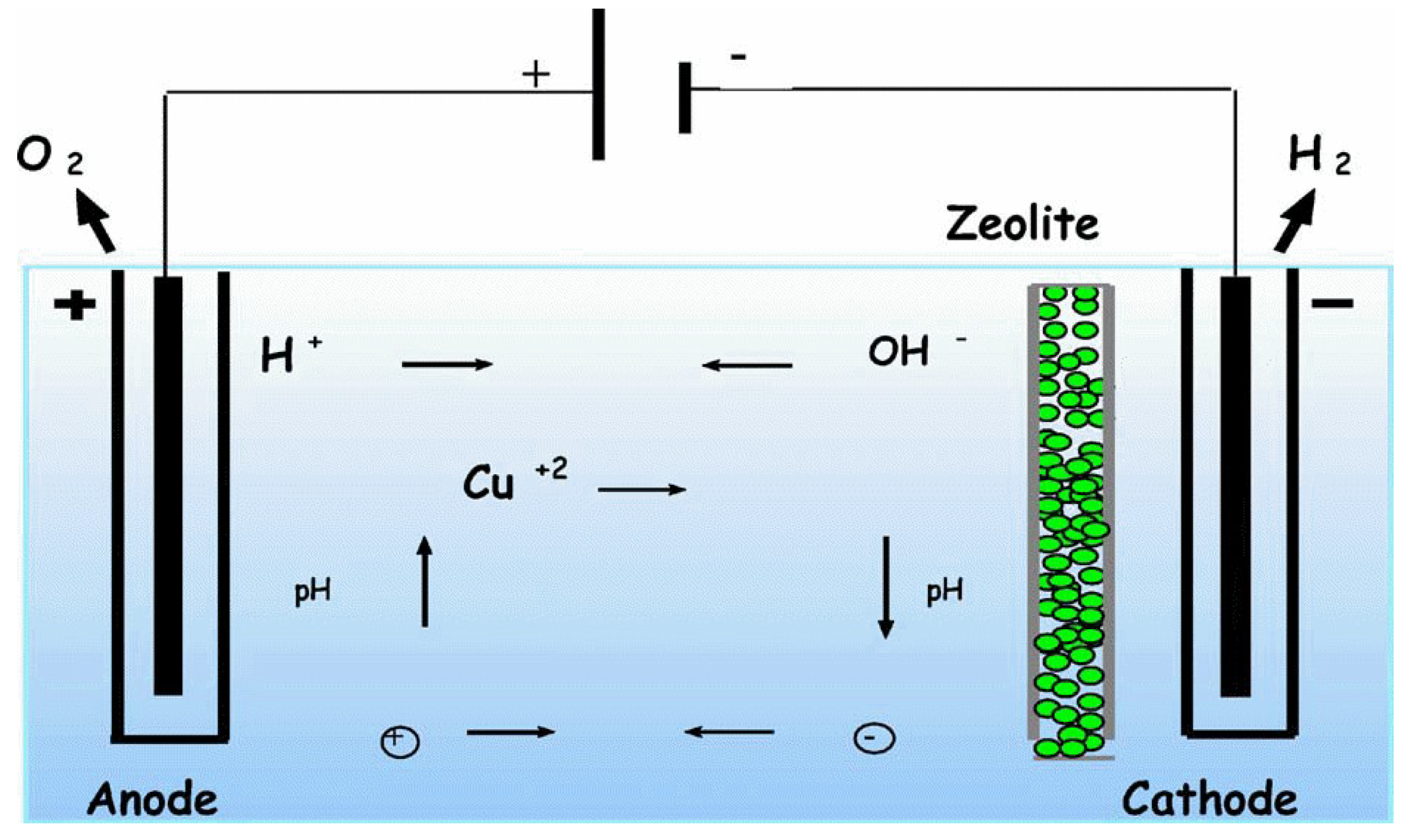 Applsci 13 01897 g006