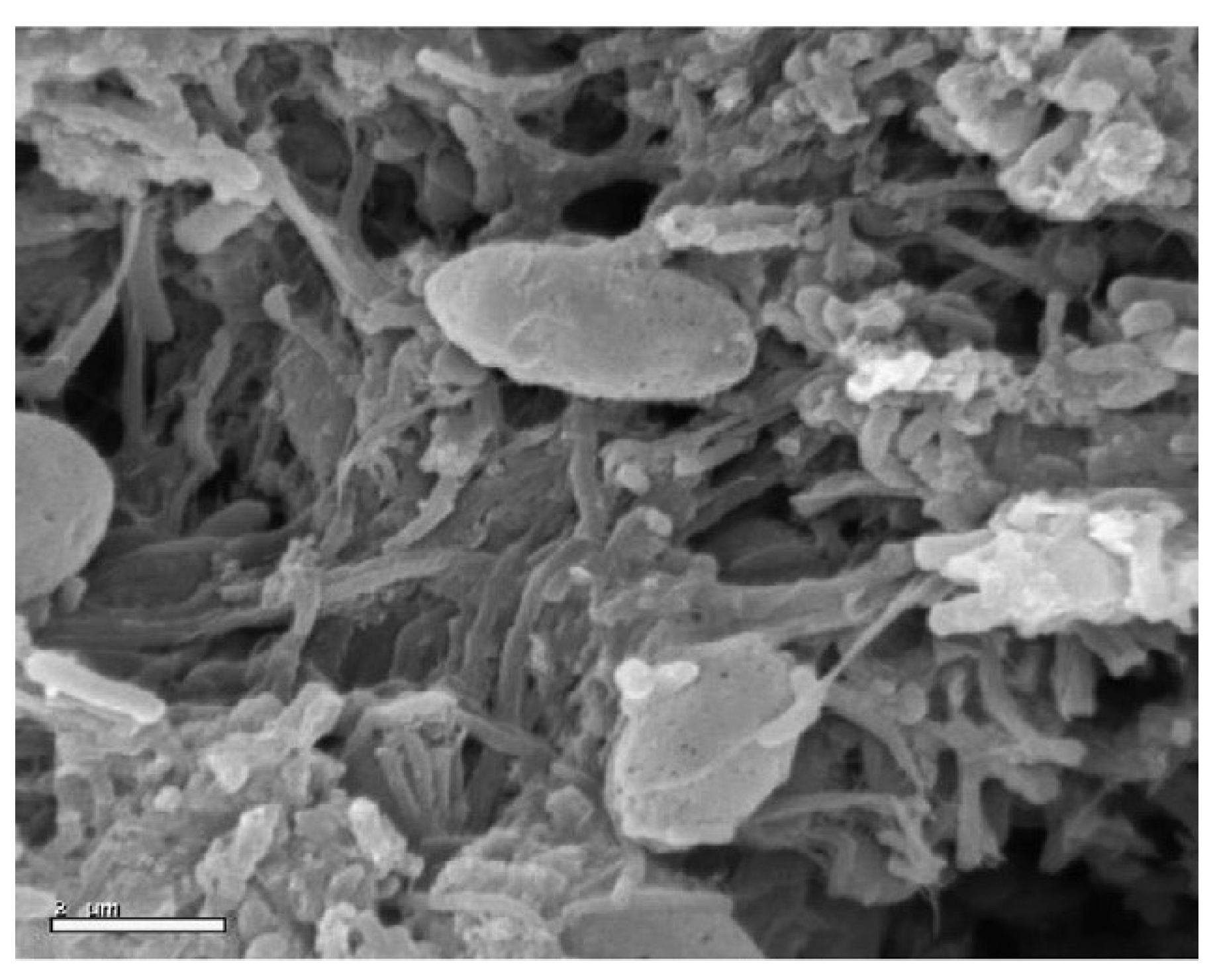 Applsci 13 01897 g016