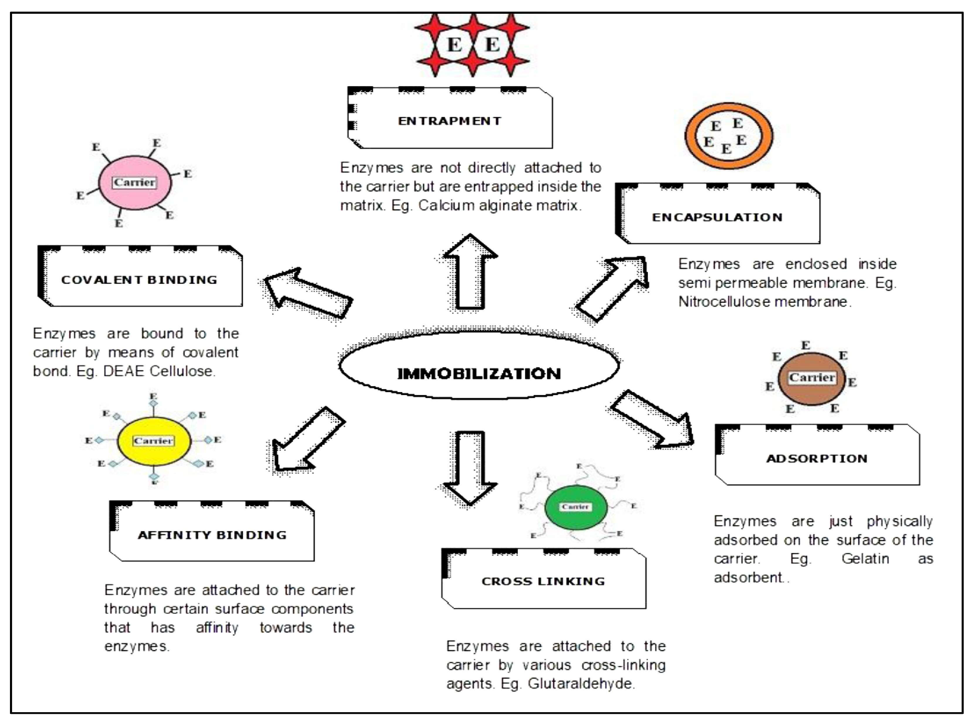 Applsci 13 01897 g018