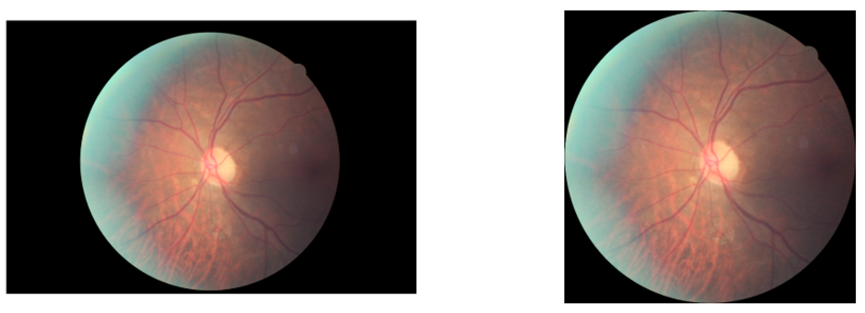 Applsci 13 01901 g002