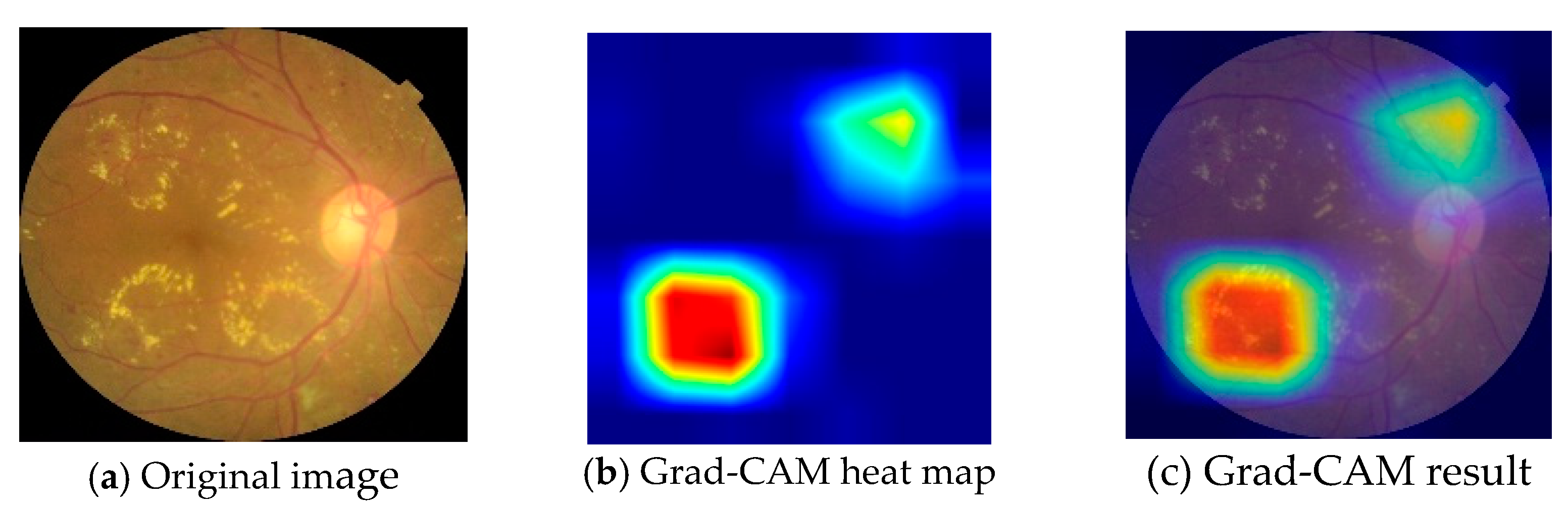 Applsci 13 01901 g004