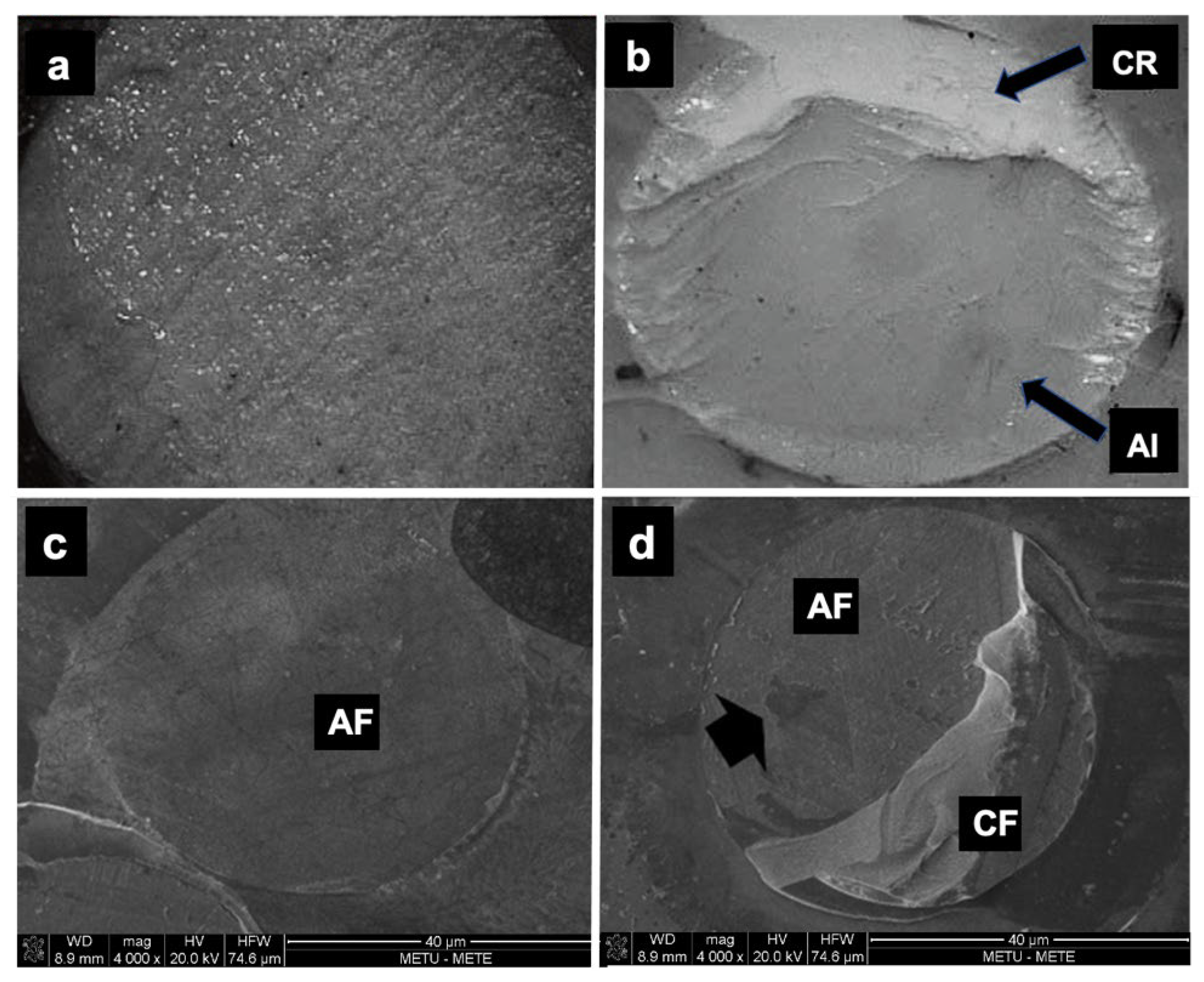 Applsci 13 01902 g004