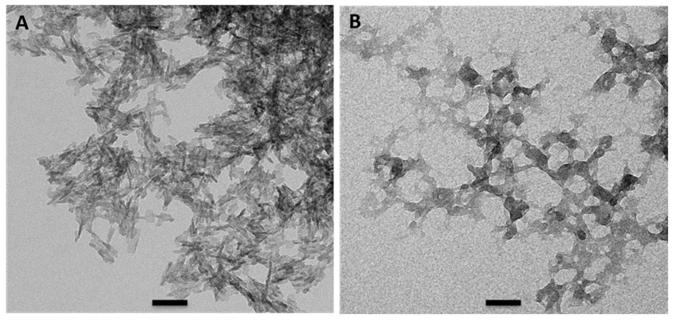 Applsci 13 01906 g001