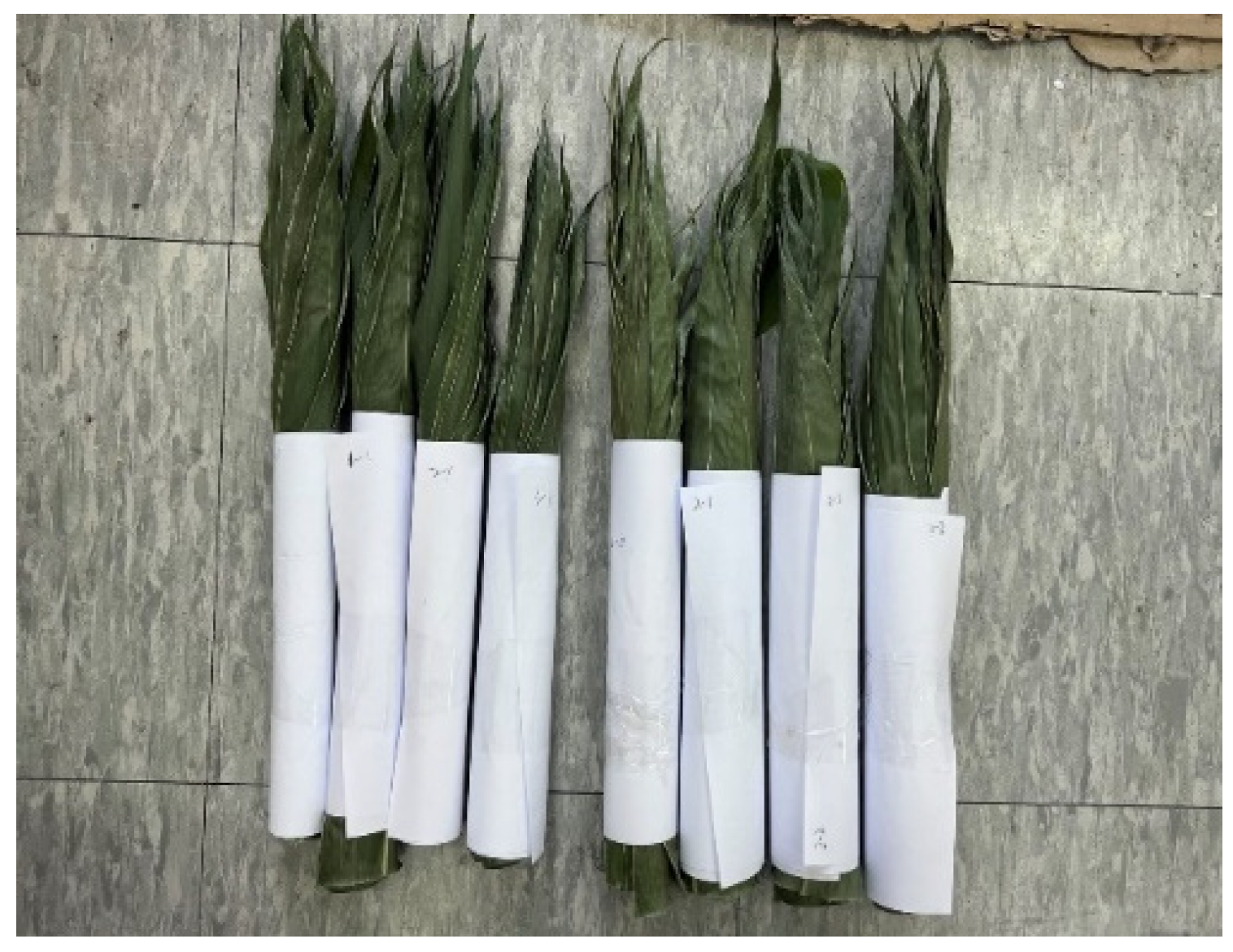 Applsci 13 01910 g001