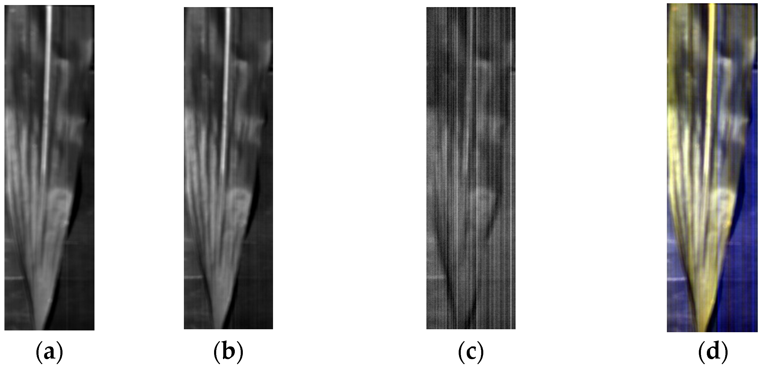 Applsci 13 01910 g004