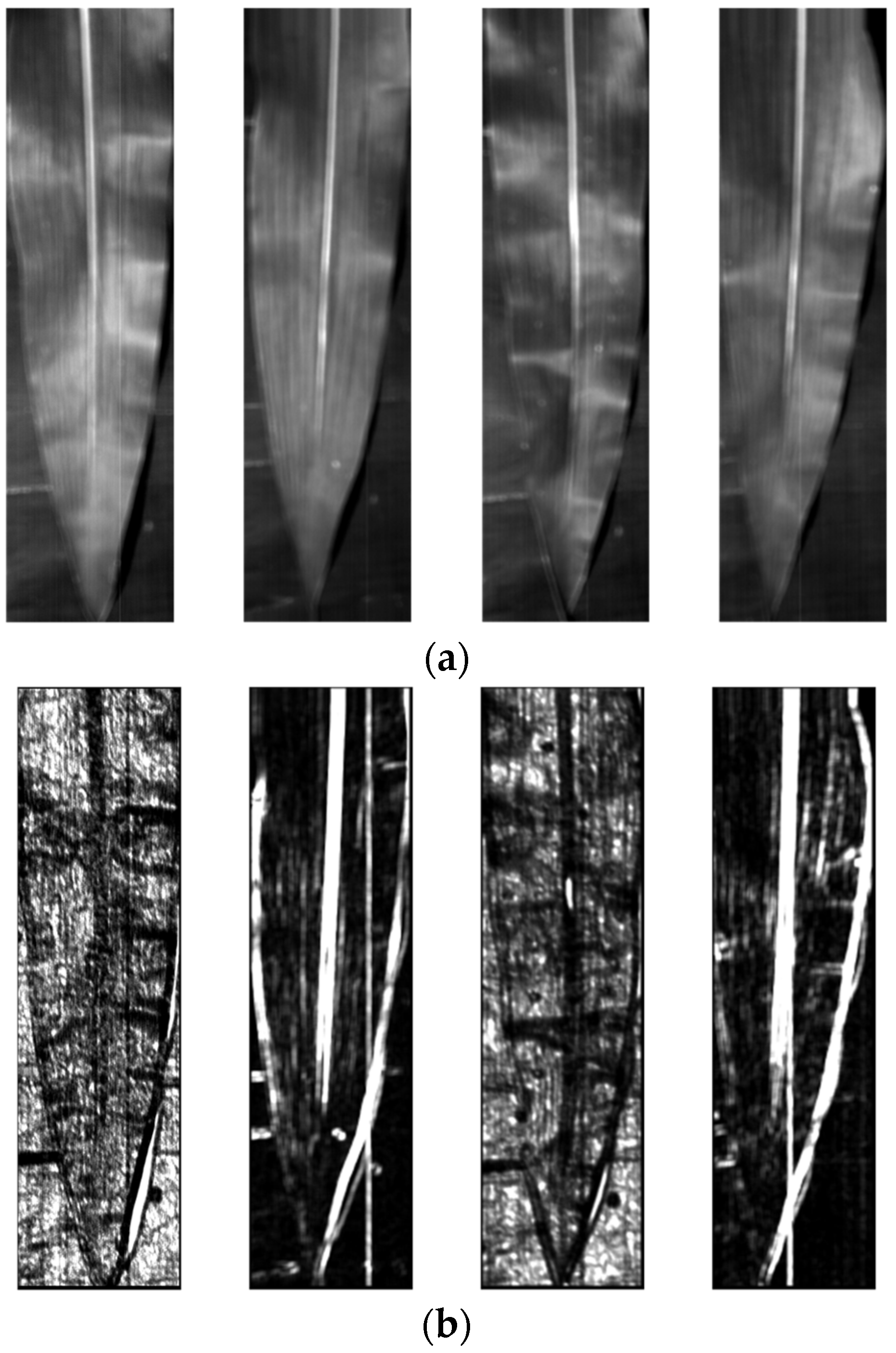 Applsci 13 01910 g005