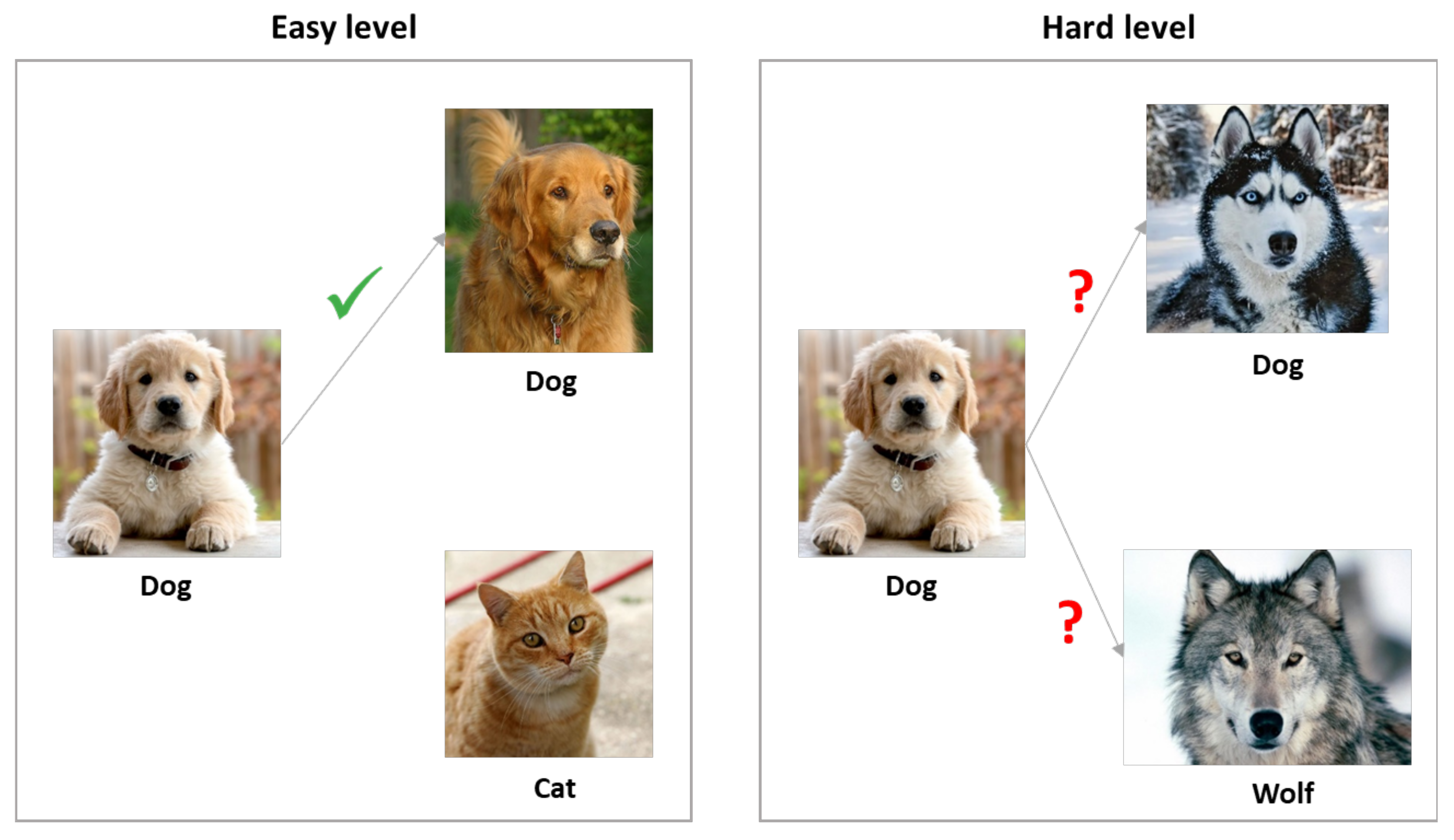 Applsci 13 01913 g001