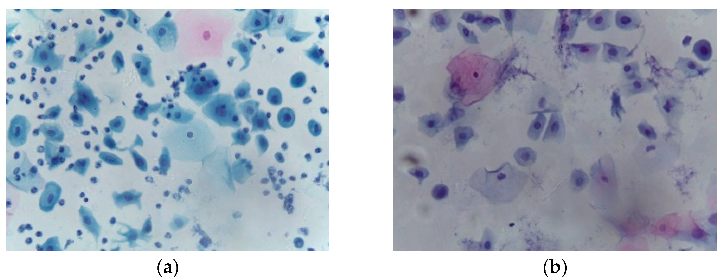 Applsci 13 01916 g001a