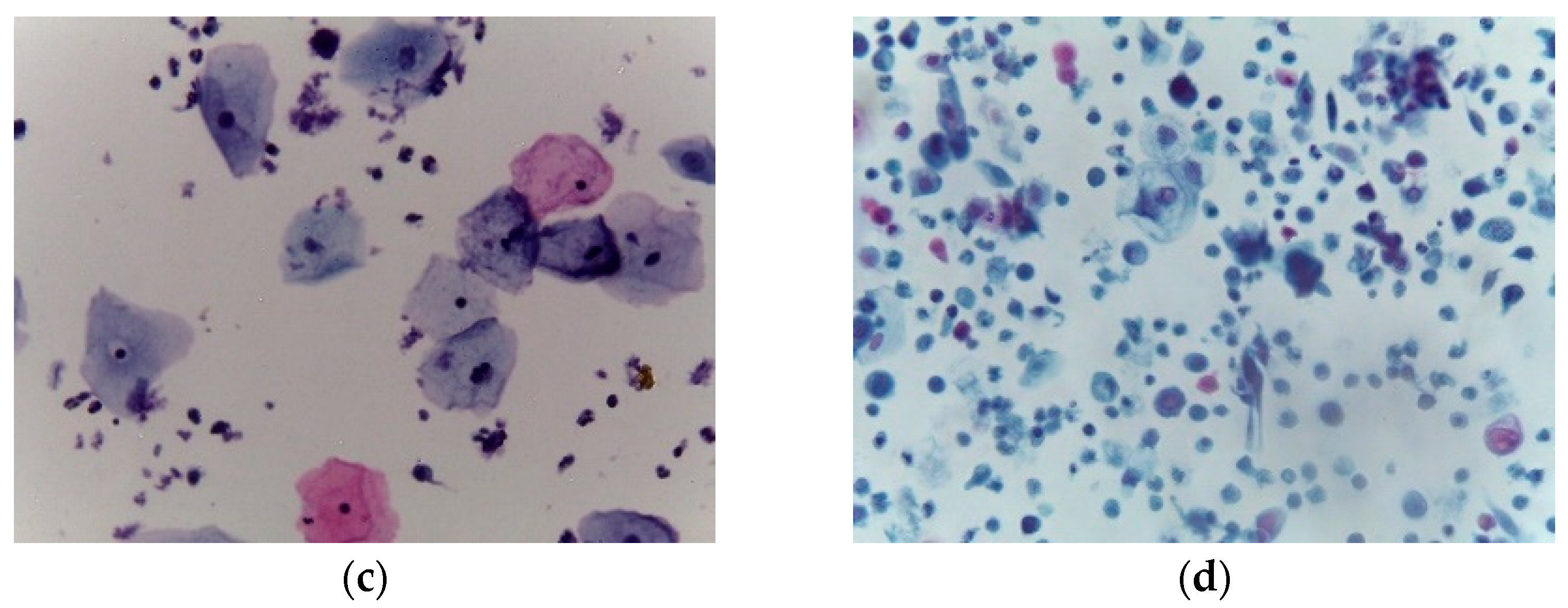 Applsci 13 01916 g001b