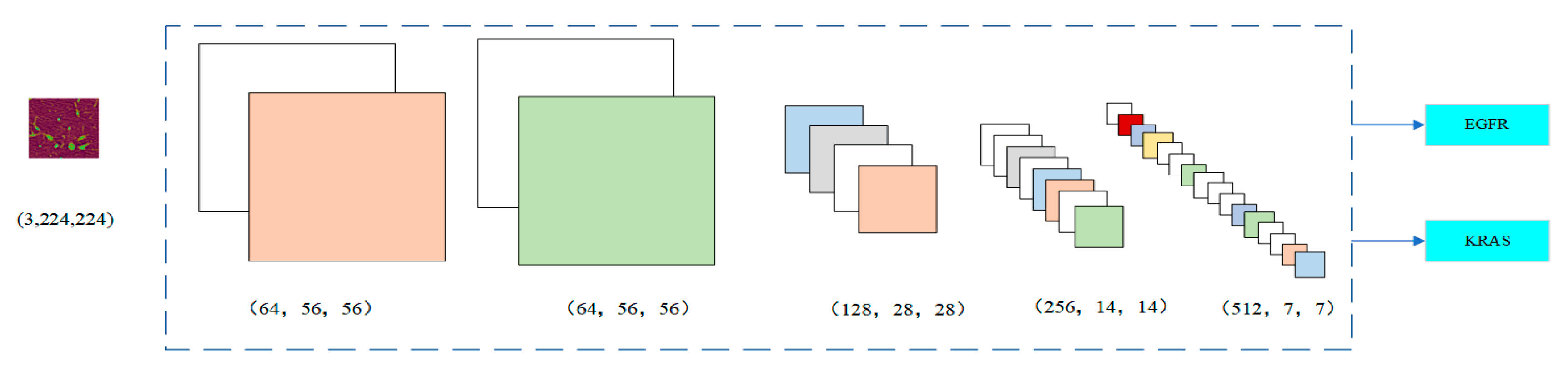 Applsci 13 01921 g004