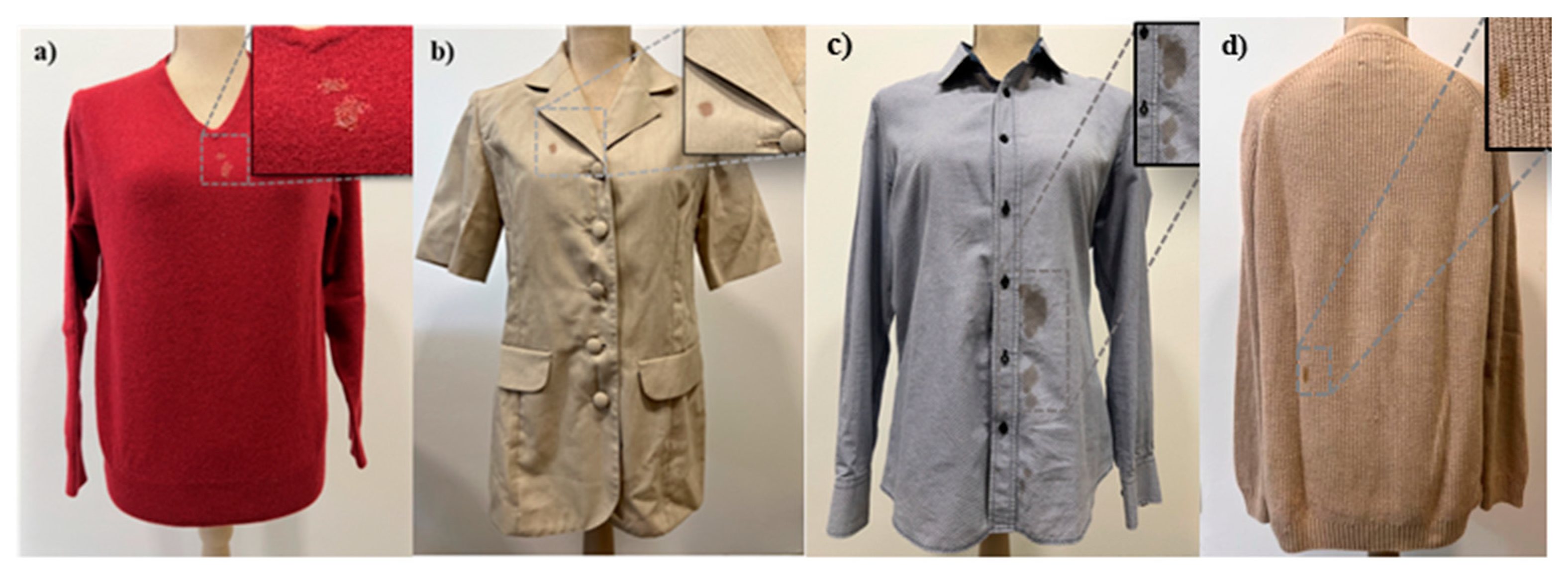 Applsci 13 01925 g005