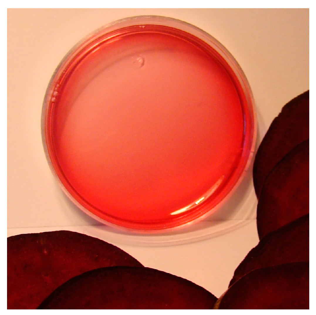 Applsci 13 01926 g003