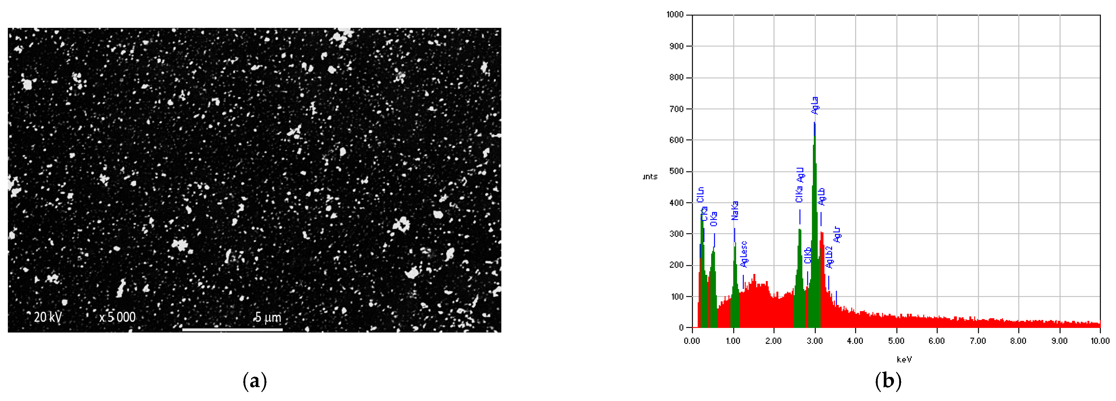 Applsci 13 01926 g007