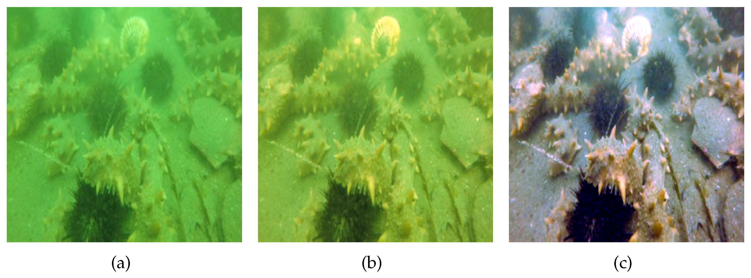 Applsci 13 01973 g002