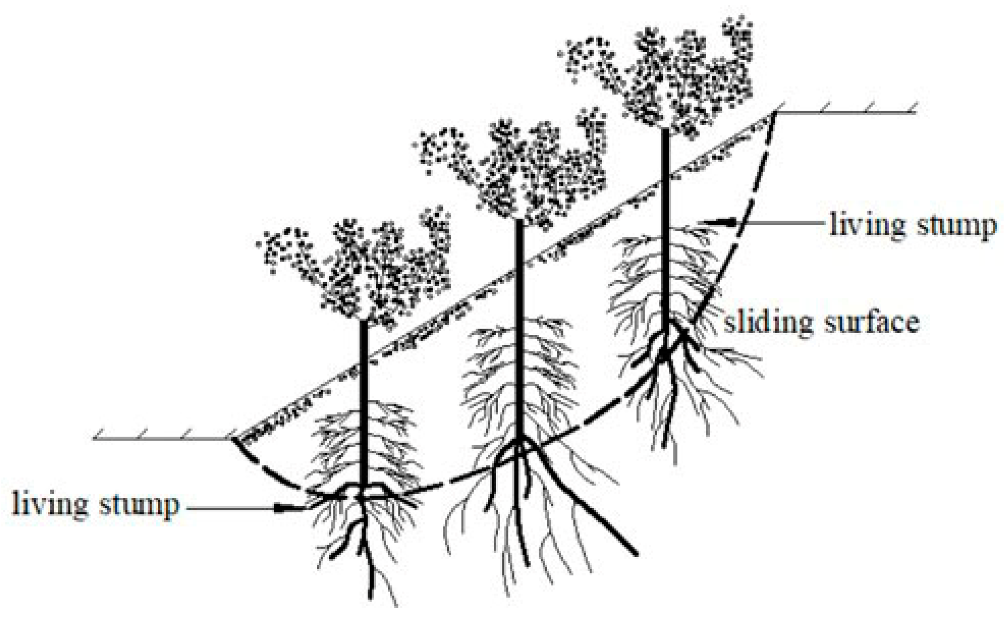 Applsci 13 01978 g001