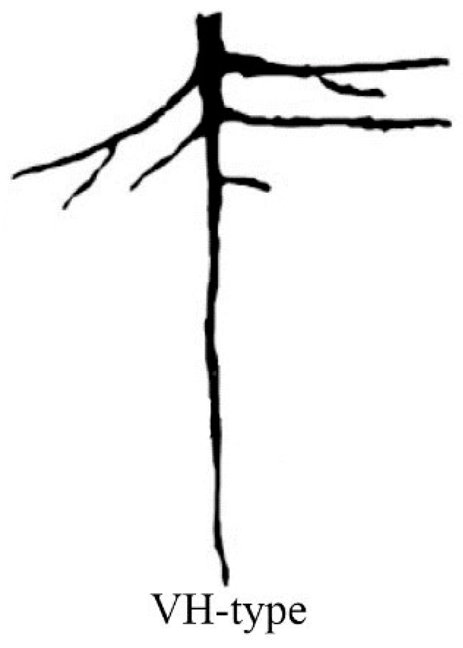 Applsci 13 01978 g002