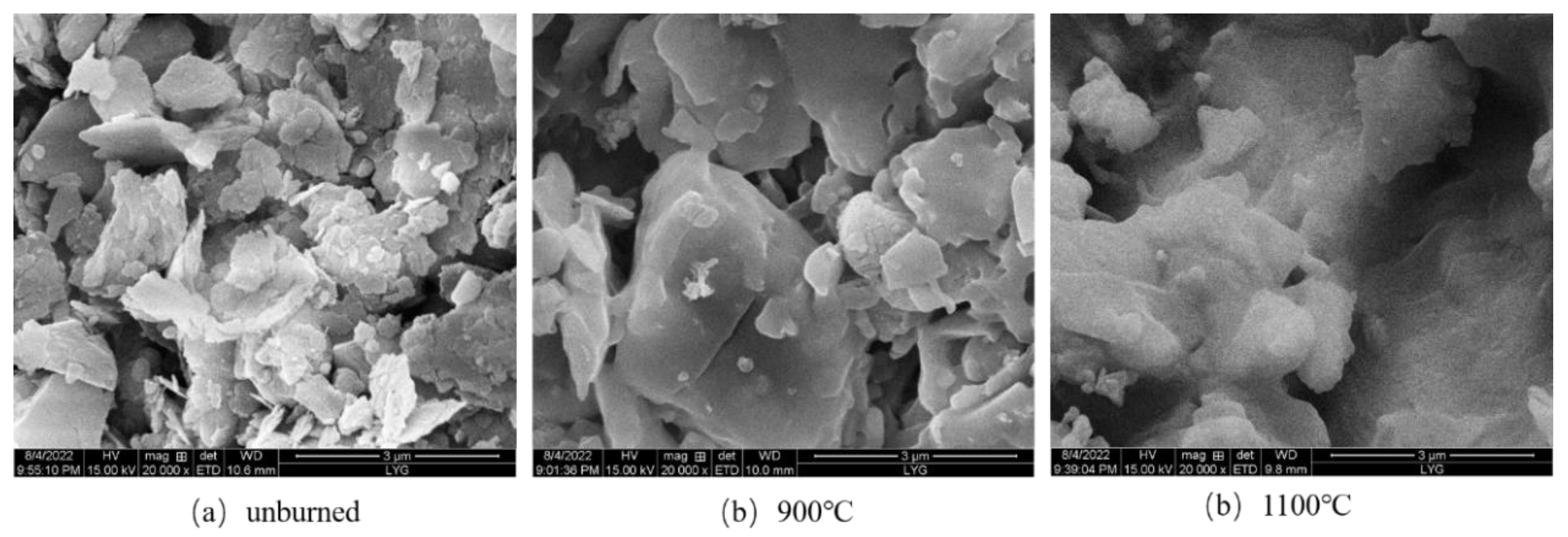 Applsci 13 01989 g011