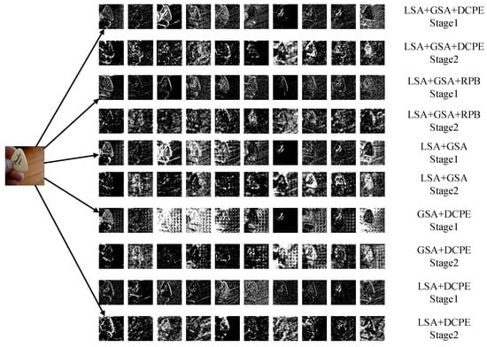 Applsci 13 01993 g0a5