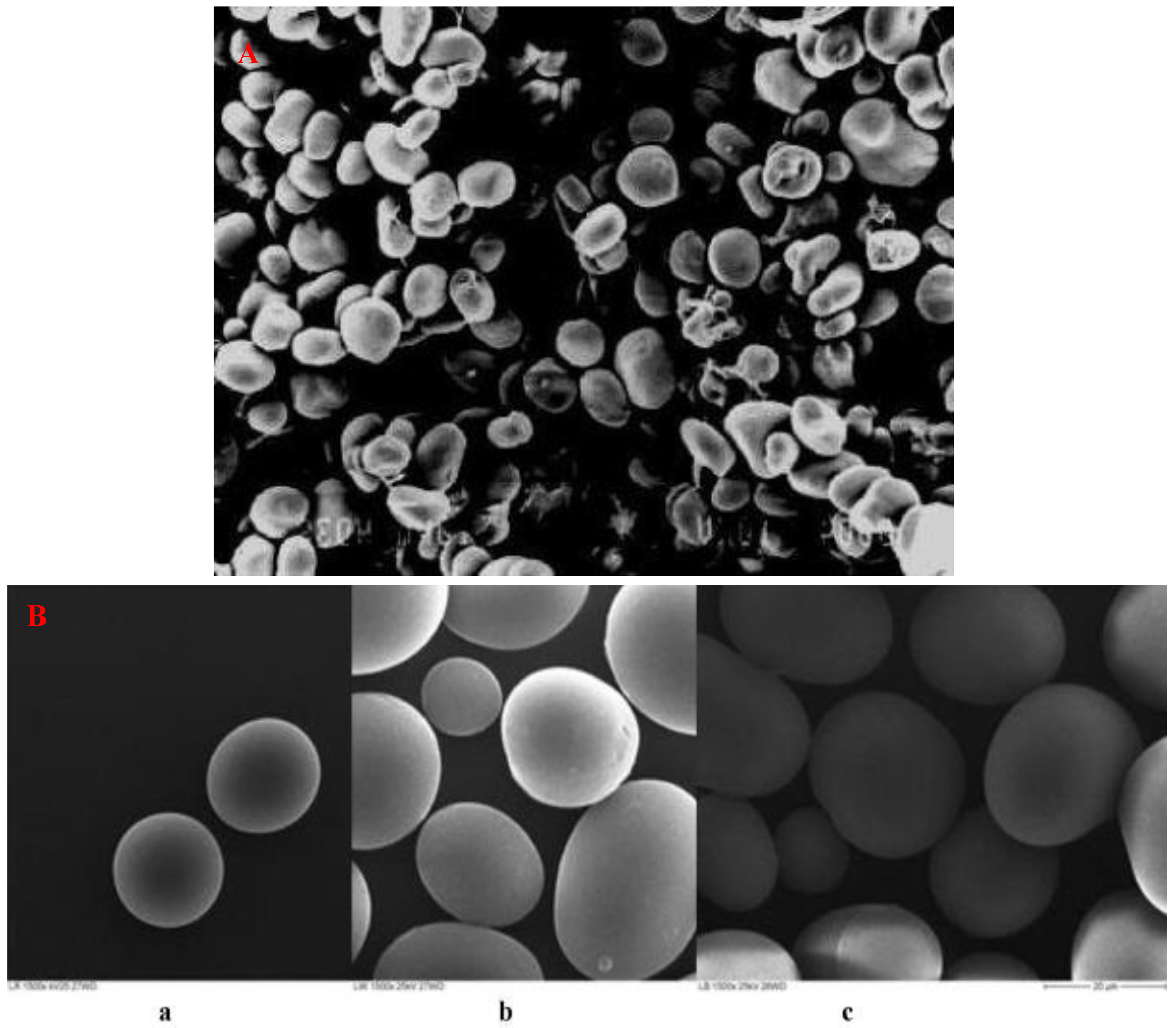 Applsci 13 01996 g003