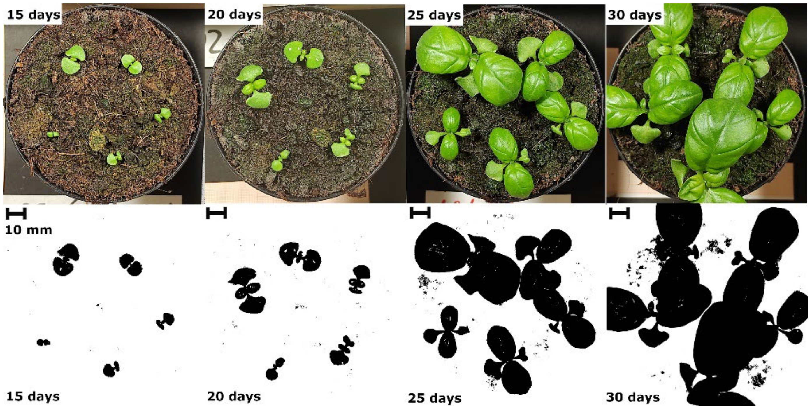 Applsci 13 02004 g002