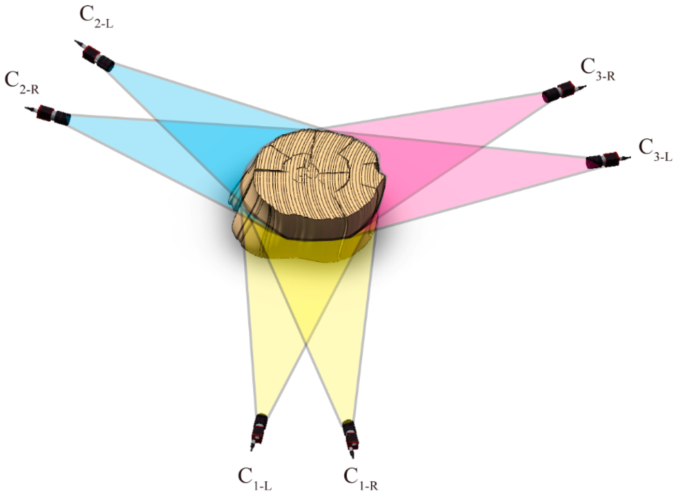 Applsci 13 02019 g001