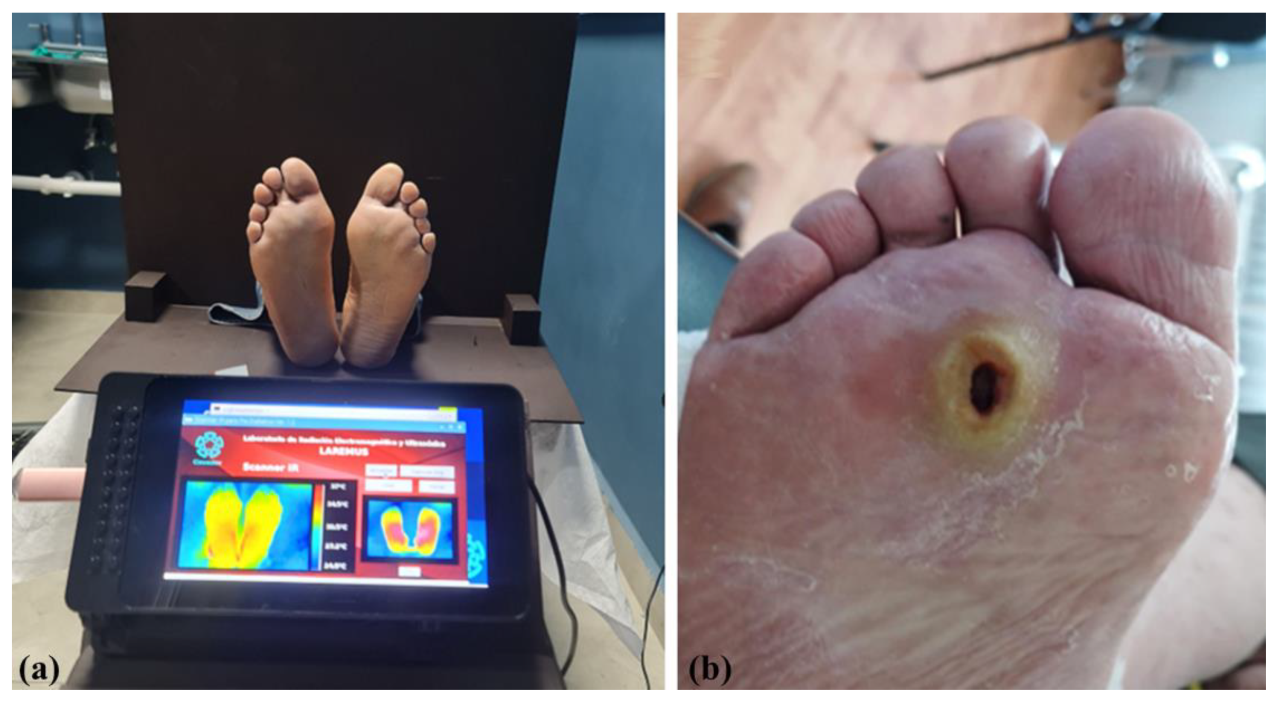 Applsci 13 02026 g003