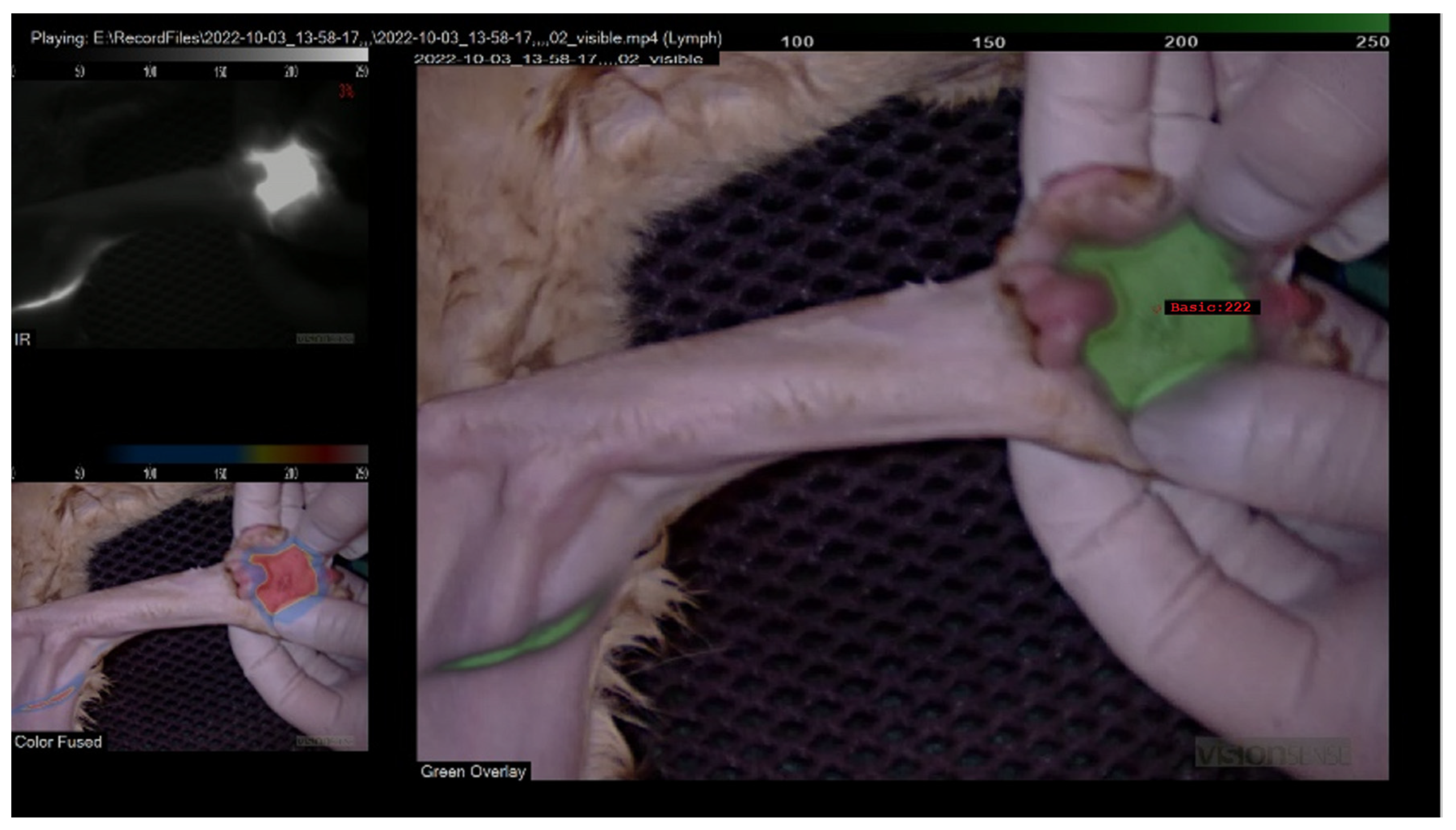 Applsci 13 02027 g002