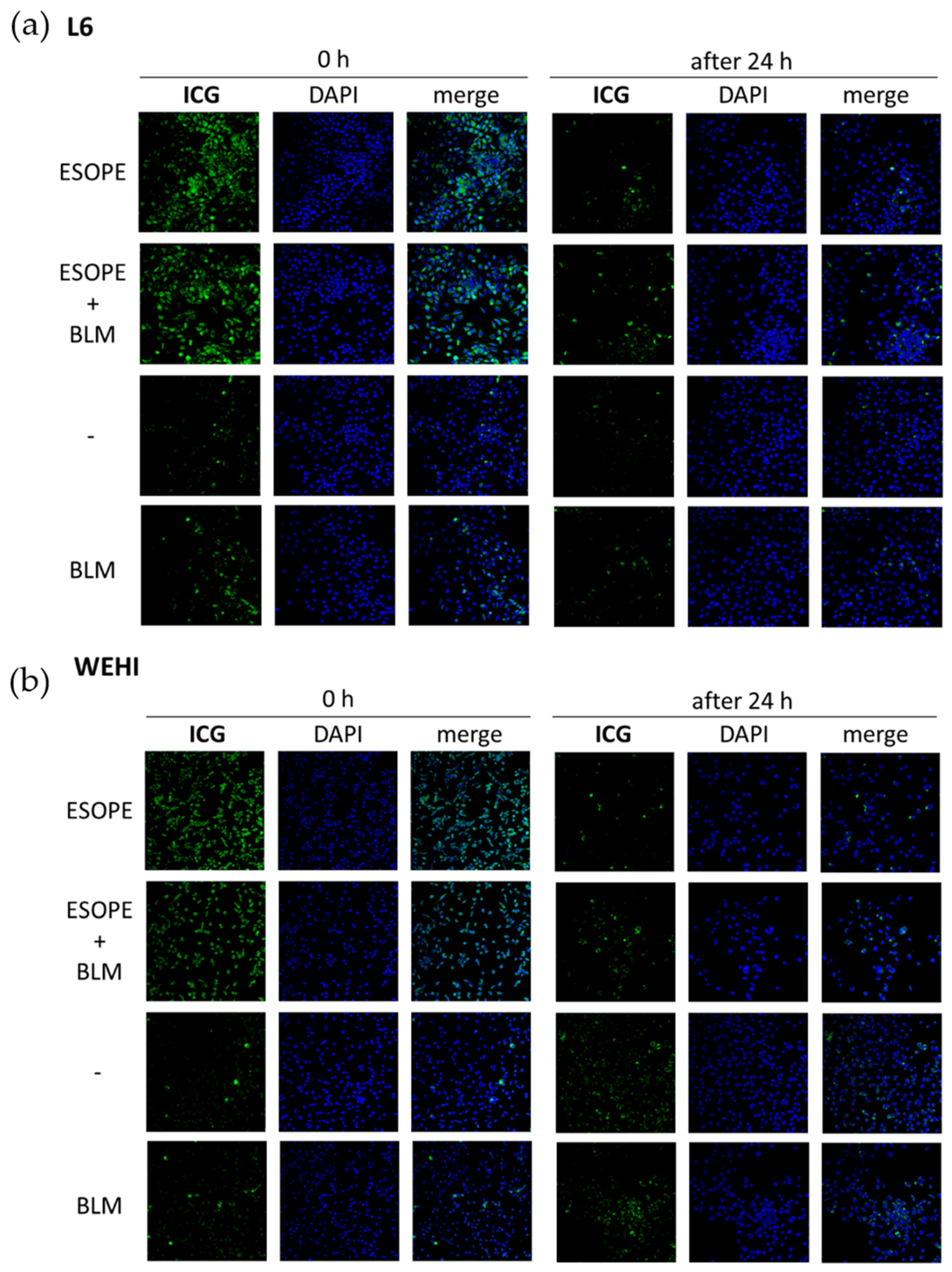 Applsci 13 02027 g004a