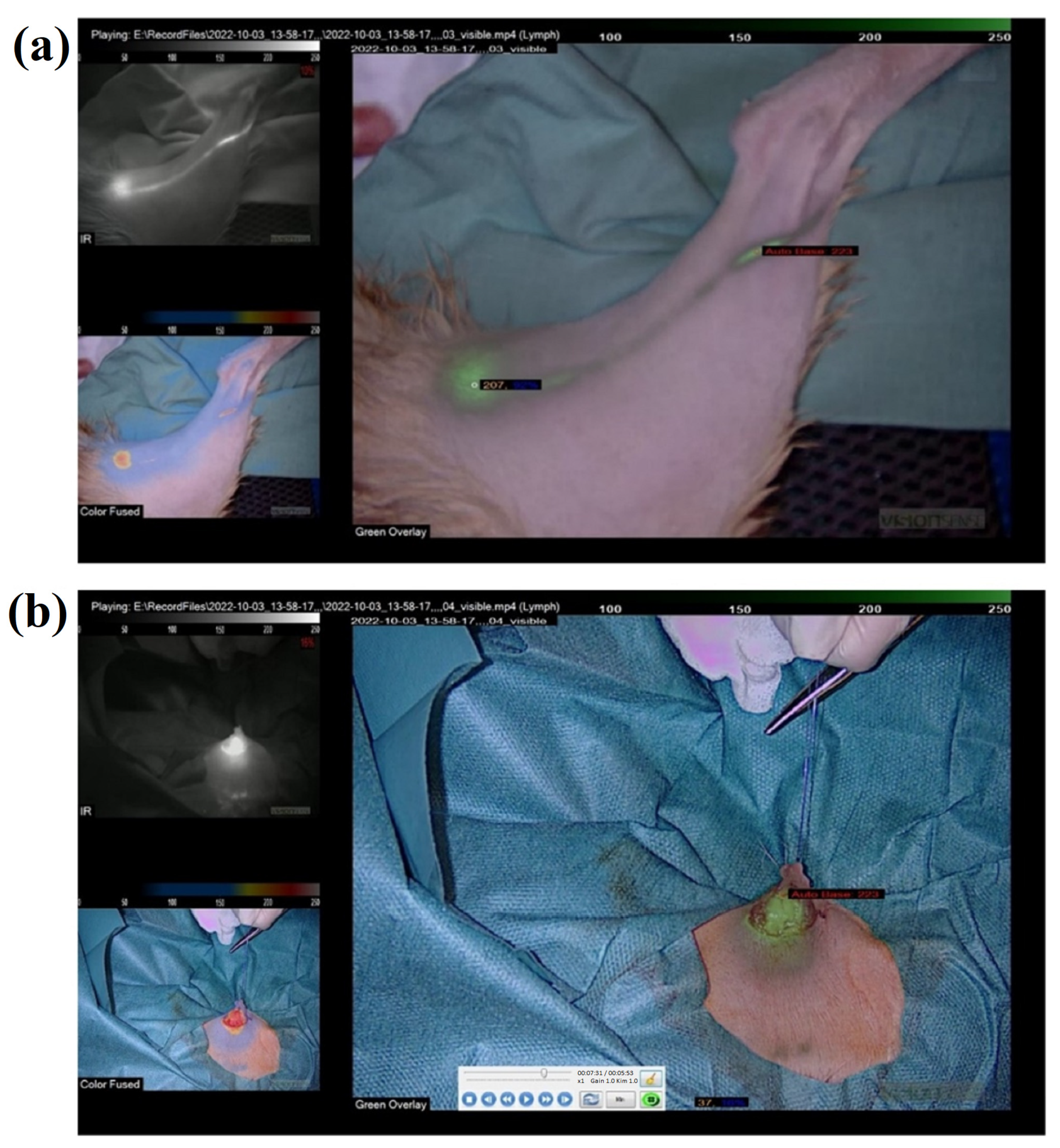 Applsci 13 02027 g005