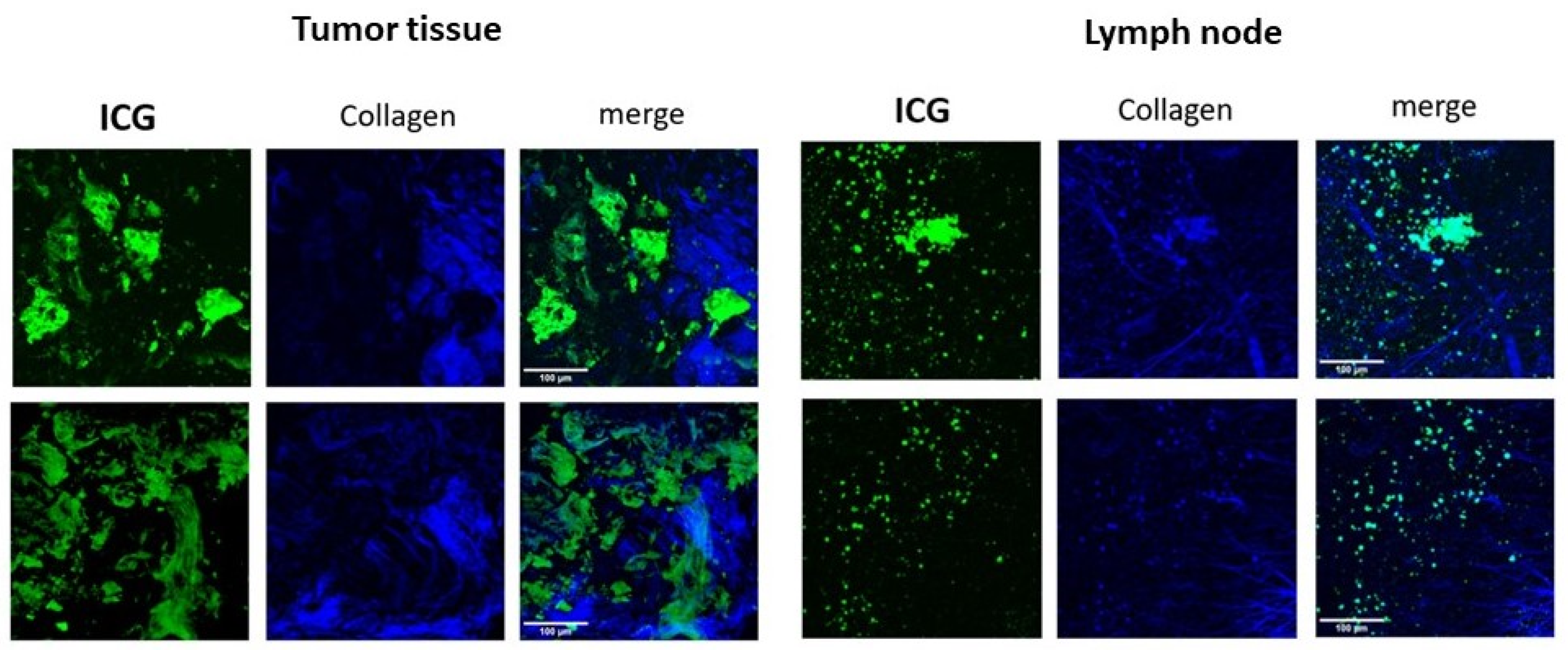 Applsci 13 02027 g006