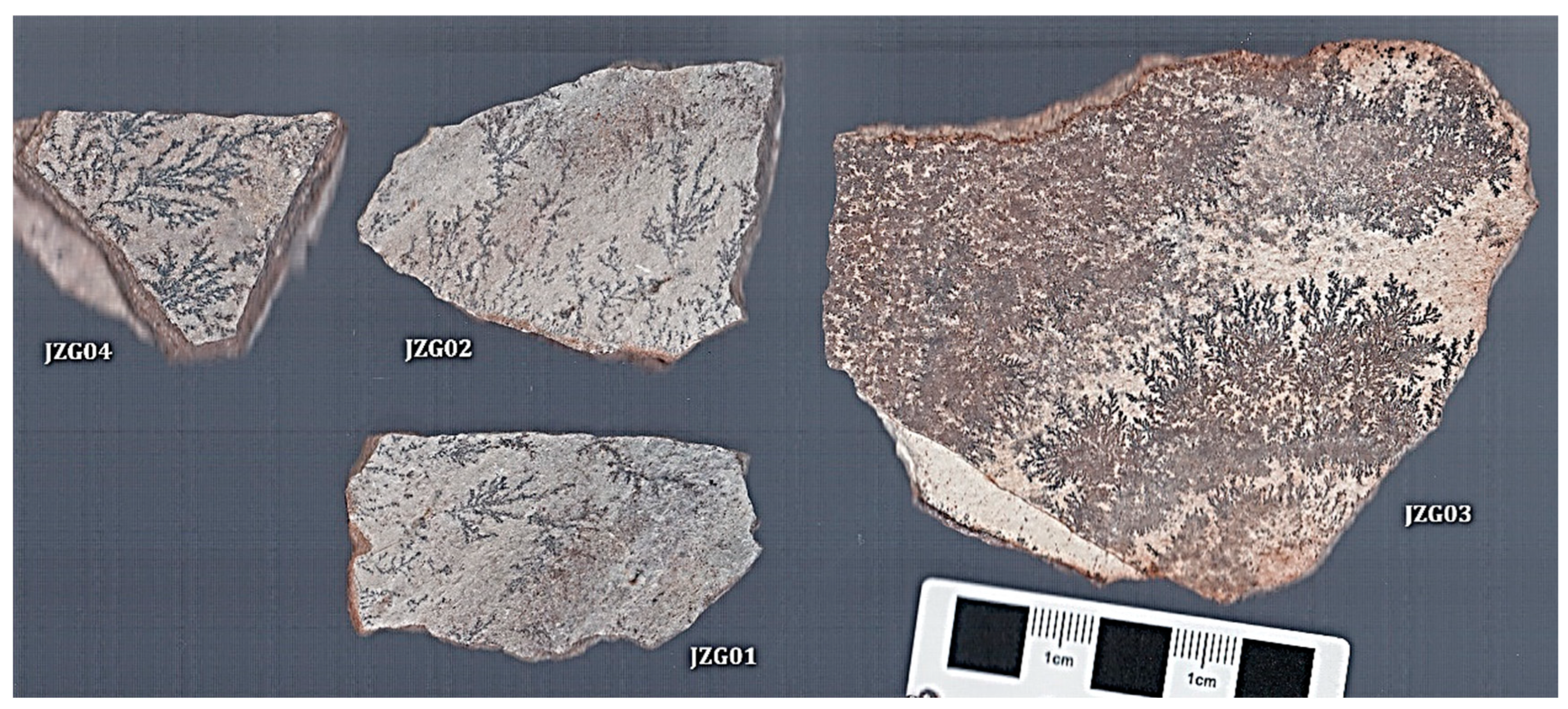 Applsci 13 02049 g001