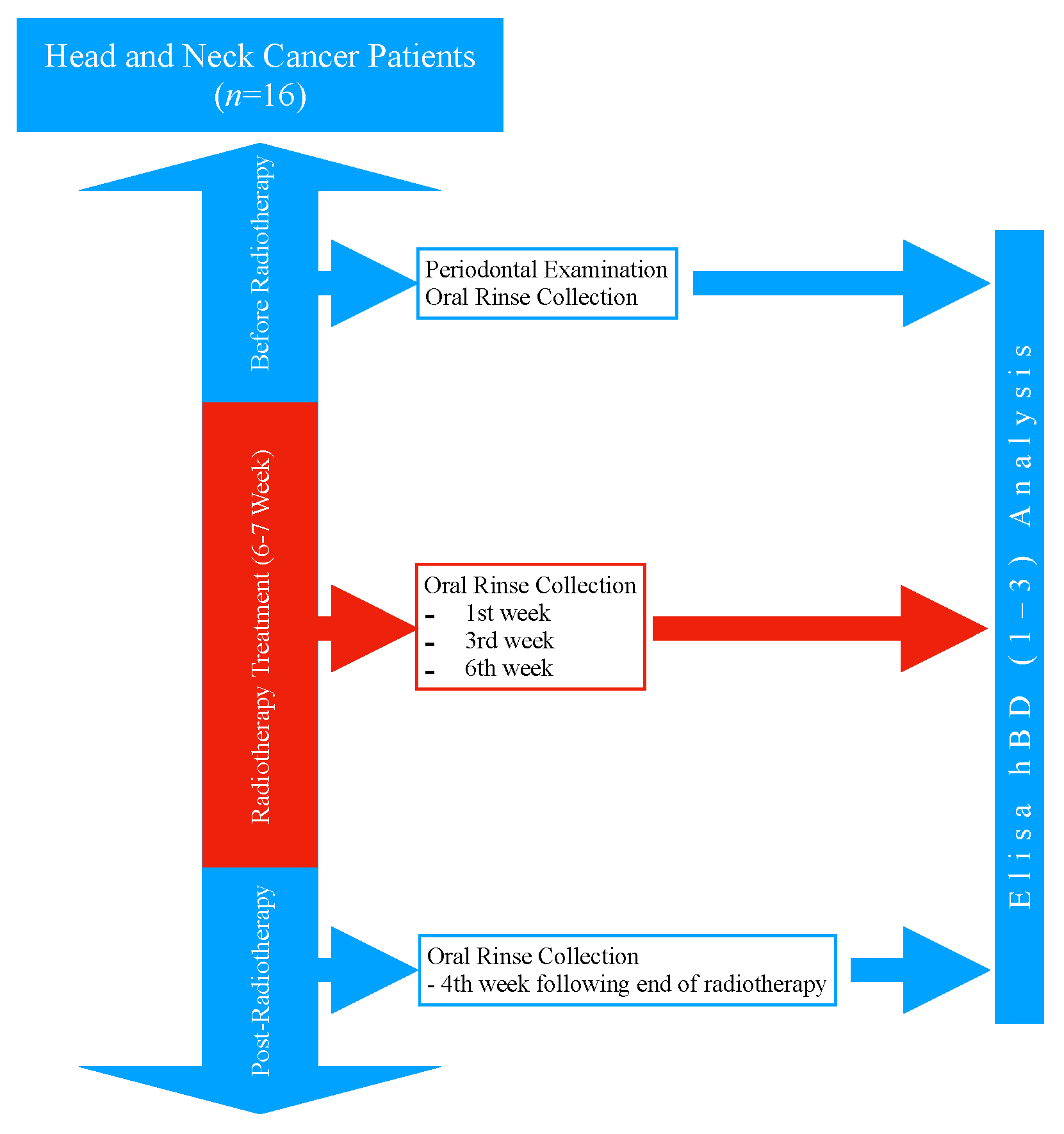 Applsci 13 02056 g001